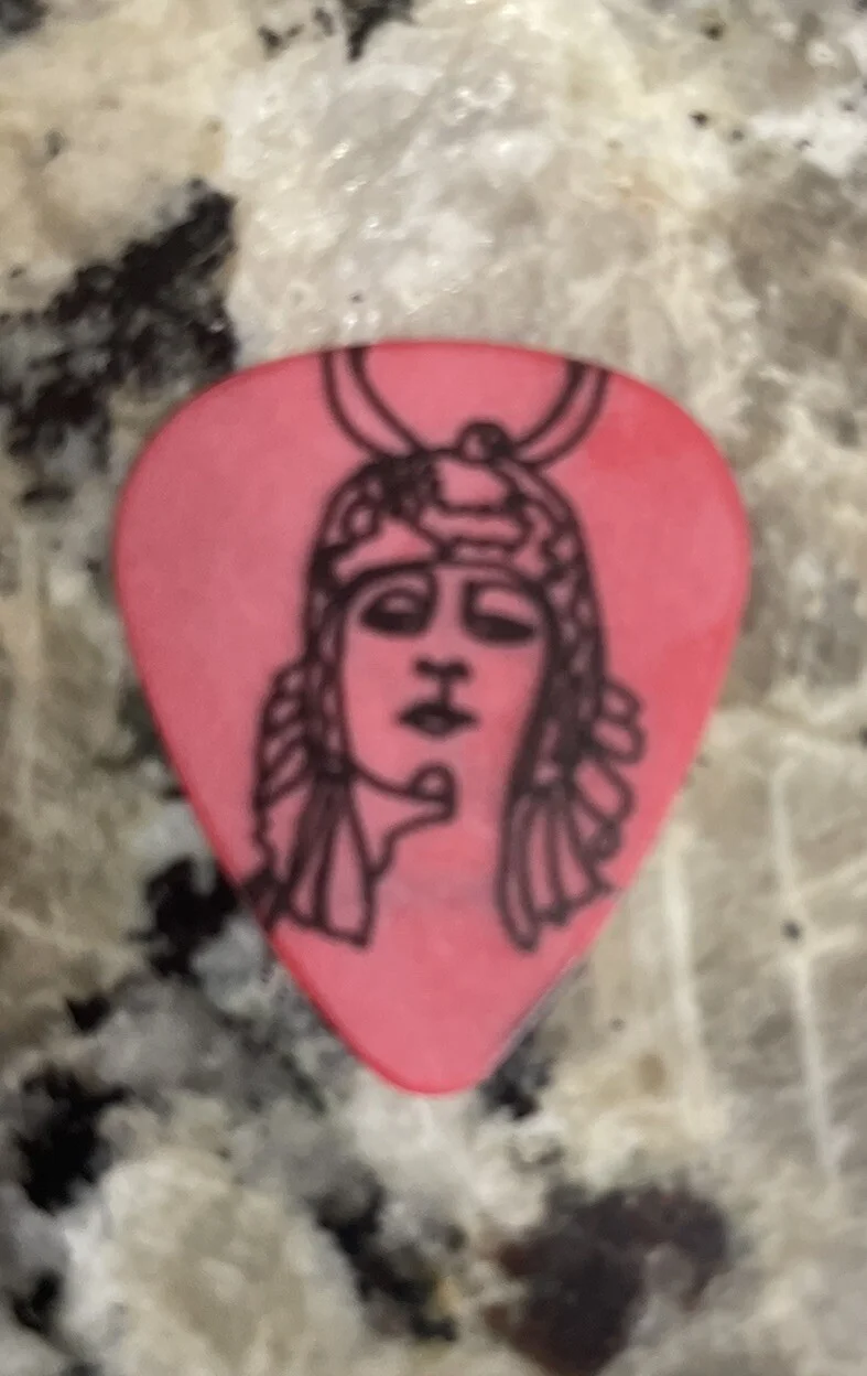 THE LUMINEERS Guitar Pick Gig Used, изображение 3