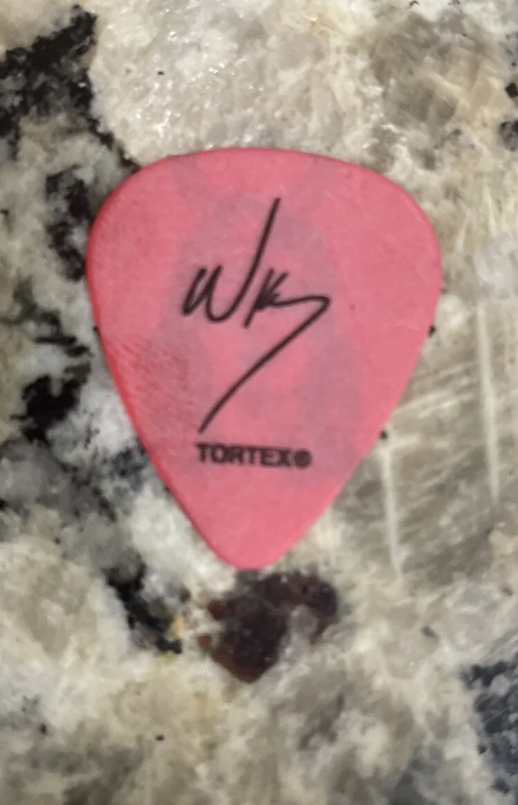 THE LUMINEERS Guitar Pick Gig Used, изображение 4