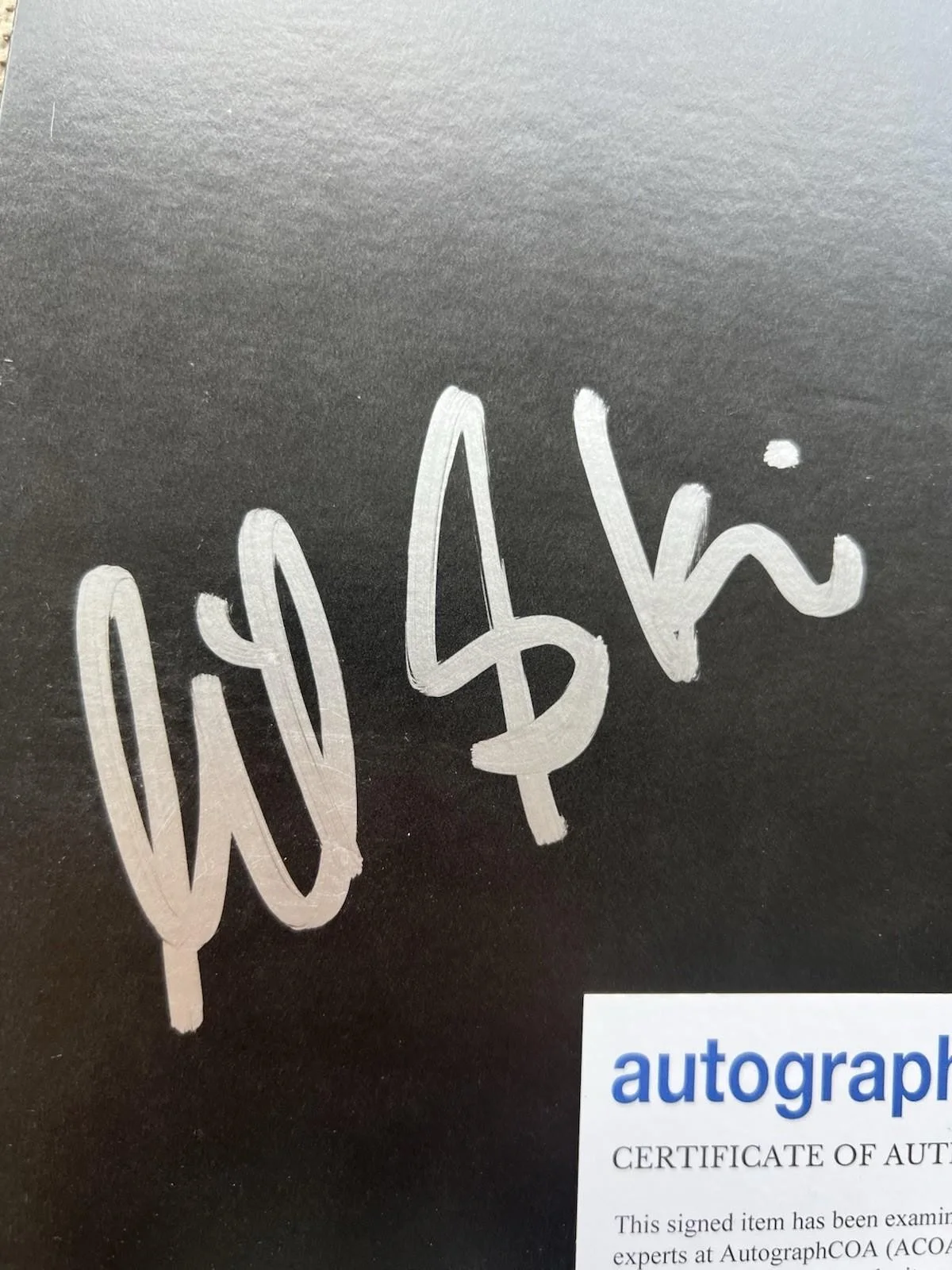 LIL SKIES SIGNED “LIFE OF A DARK ROSE” VINYL & RECORD ALBUM - ACOA COA + PROOF, изображение 2