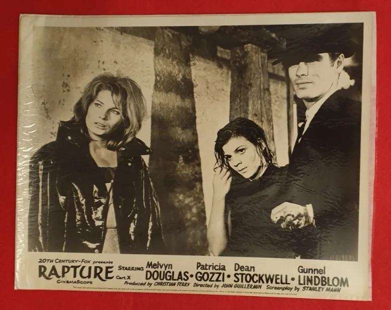 Rapture (1965) – 7 Original Publicity Photos – Vintage Studio Stills Lot, image 3