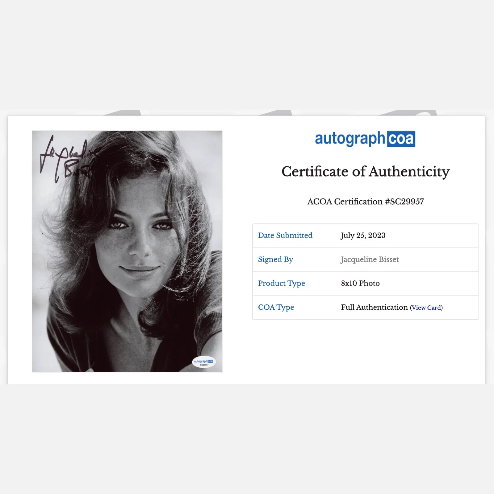 JACQUELINE BISSET autograph ACOA signed 8x10 photography — JACQUELINE BISSET autograph ACOA signed 8x10 photography, image 2