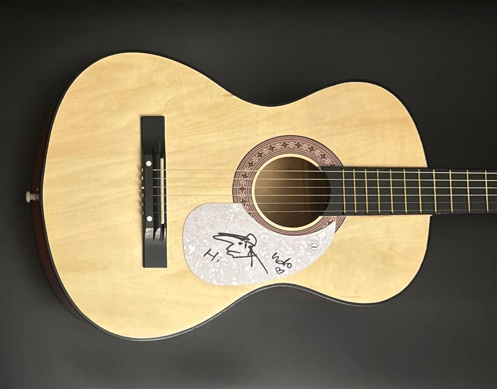 GFA Komet Composer Singer * UDO LINDENBERG * Signed Acoustic Guitar W/Sketch COA, изображение 2