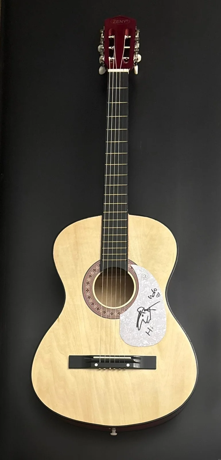 GFA Komet Composer Singer * UDO LINDENBERG * Signed Acoustic Guitar W/Sketch COA, изображение 3