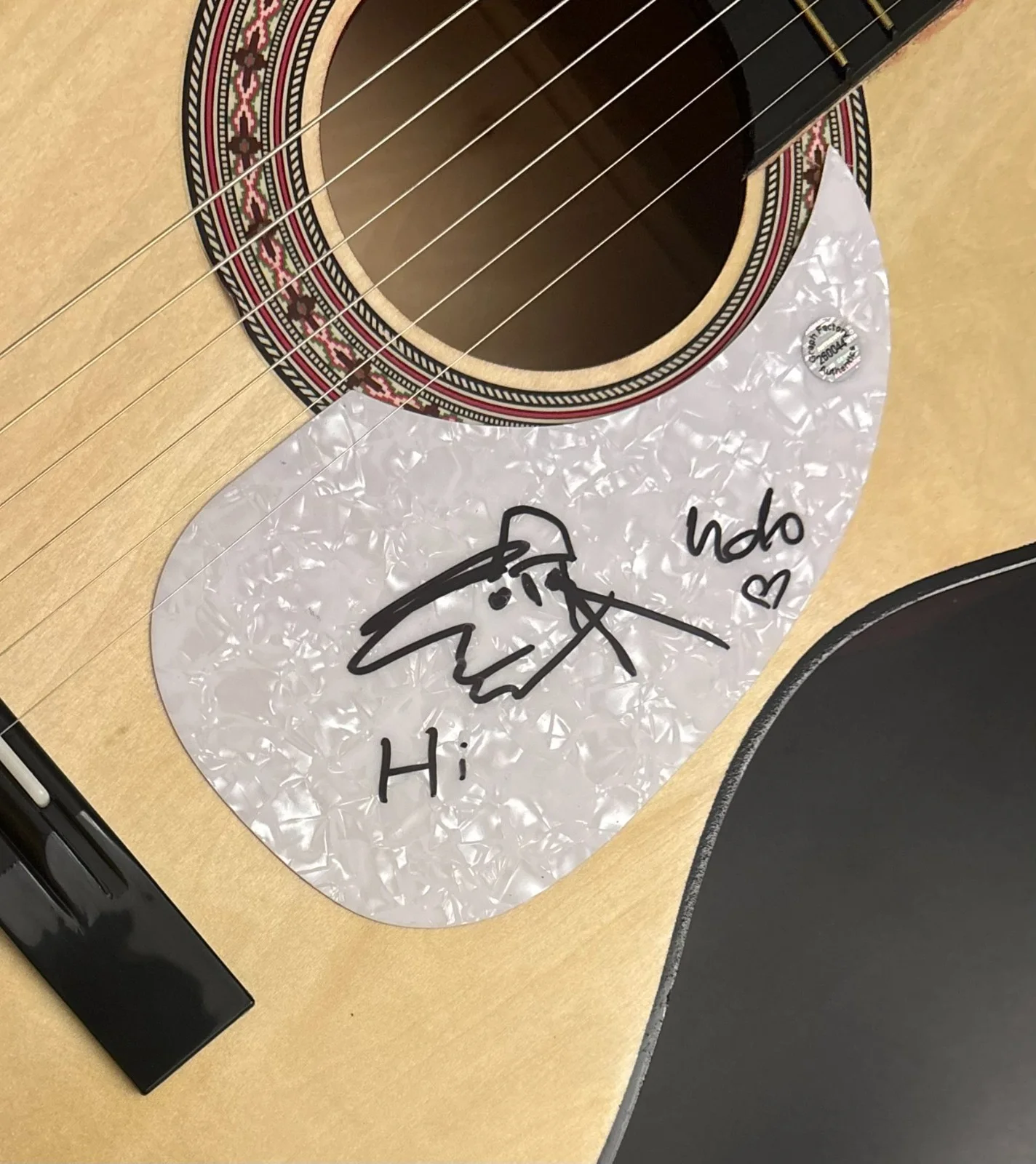 GFA Komet Composer Singer * UDO LINDENBERG * Signed Acoustic Guitar W/Sketch COA, изображение 5