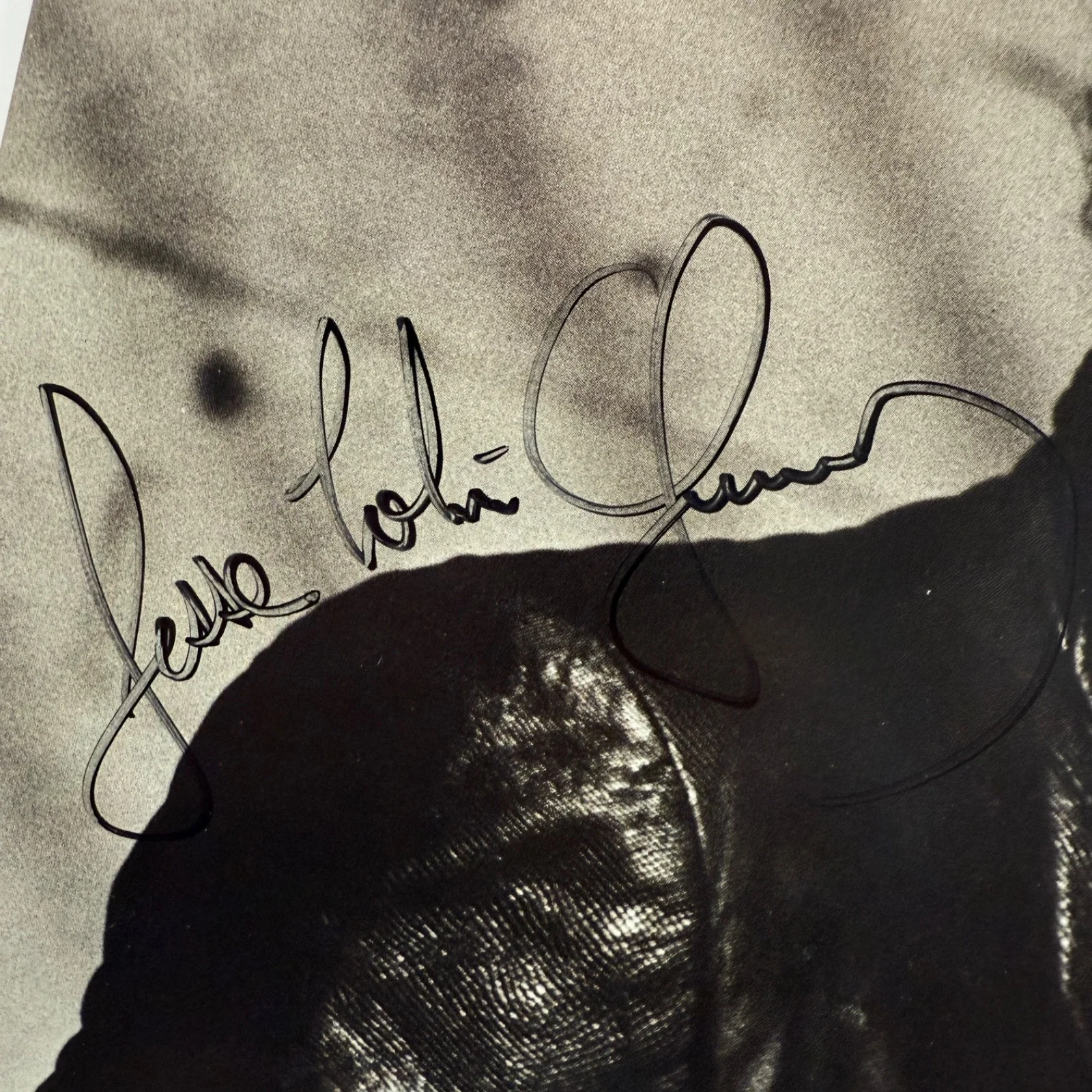 AUTOGRAPHED -JESSE COLIN YOUNG "The Perfect Stranger" Elektra 60151-1 vinyl LP, image 2