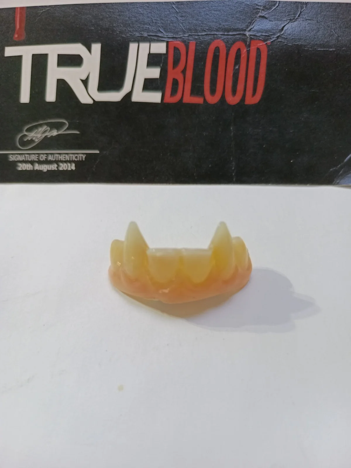 Screen Used HERO TV Prop Vampire Fangs True Blood Bill Compton's fangs with COA., изображение 3