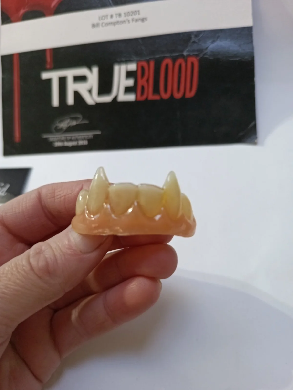 Screen Used HERO TV Prop Vampire Fangs True Blood Bill Compton's fangs with COA., изображение 5