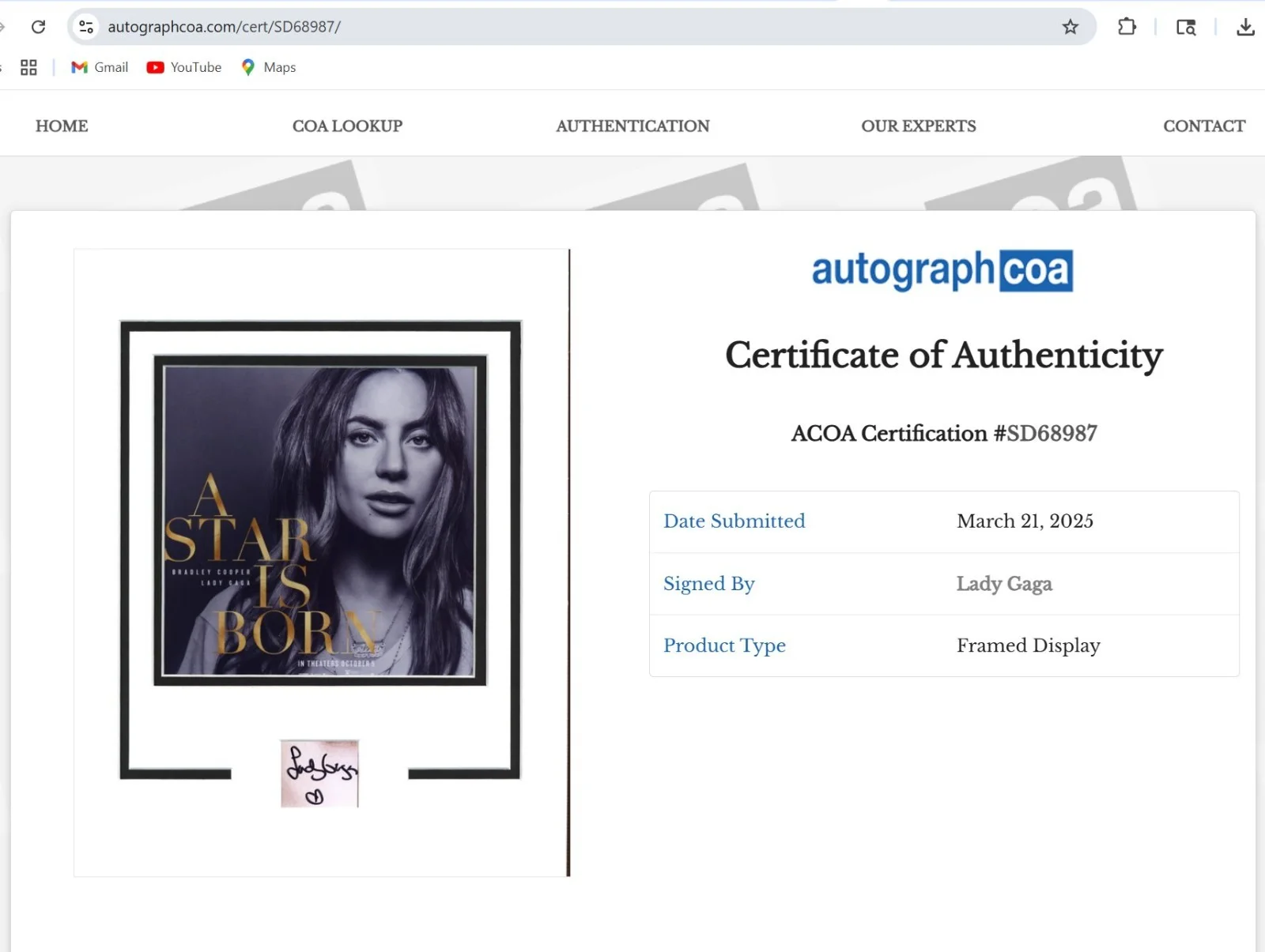 💃Lady Gaga Signed – ACOA COA – Framed "A Star is Born" Autograph Display - Rare, image 2