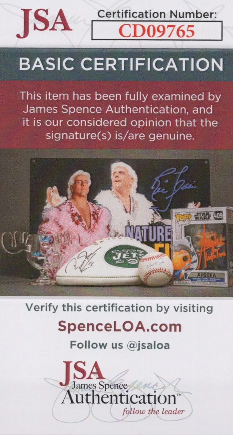 Mike Shapiro — Mike Shapiro Signed 8x10 Half Life 2 G-Man Autograph Photo Valve JSA COA, image 2