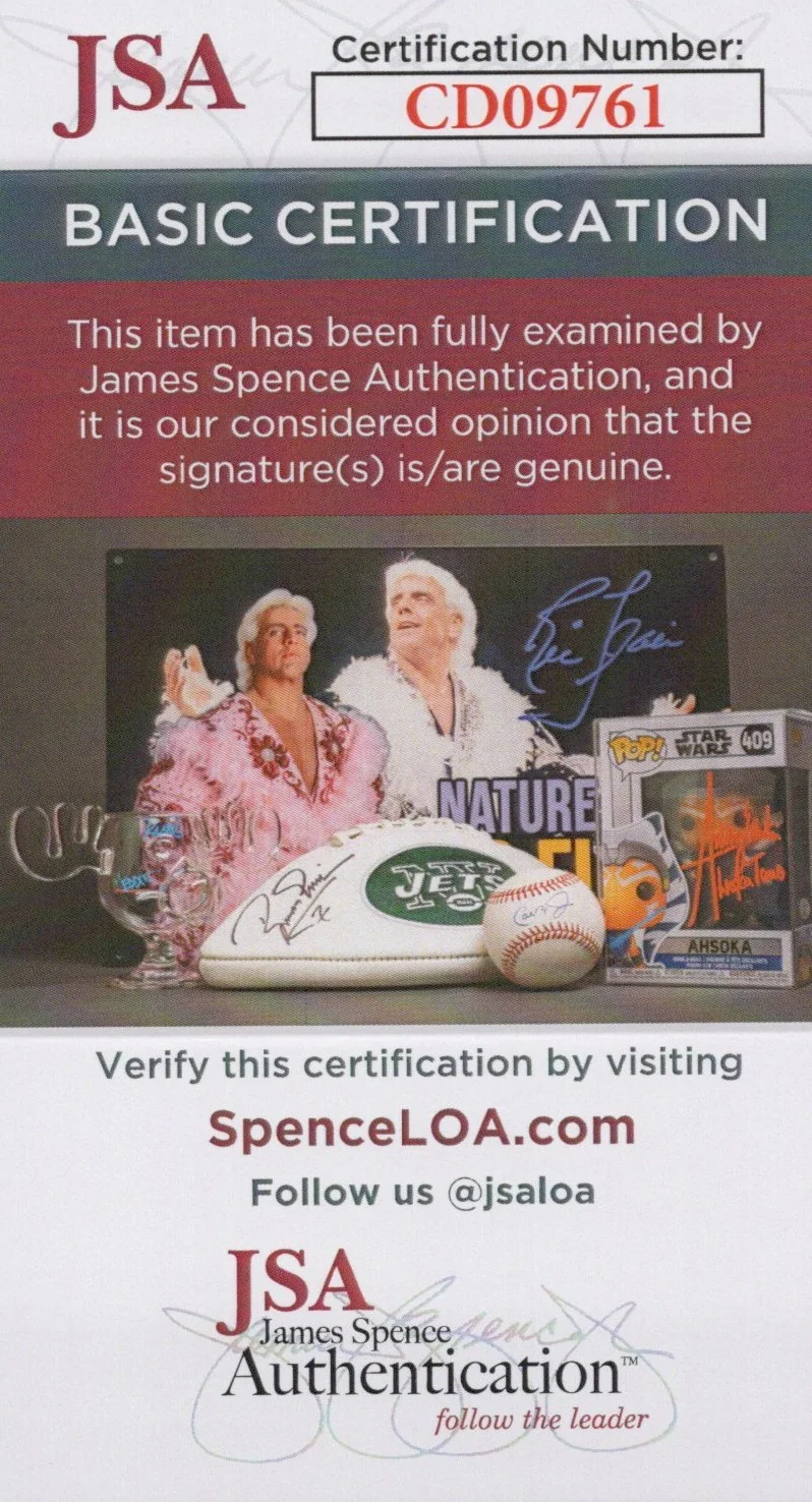 Mike Shapiro — Mike Shapiro Signed 8x10 Half Life 2 G-Man Autograph Photo Valve JSA COA, image 2