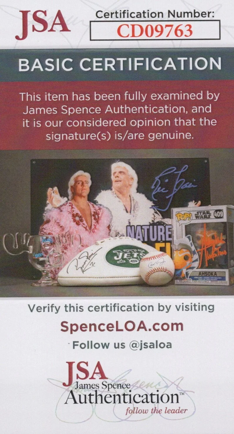 Mike Shapiro — Mike Shapiro Signed 8x10 Half Life 2 G-Man Autograph Photo Valve JSA COA, изображение 2