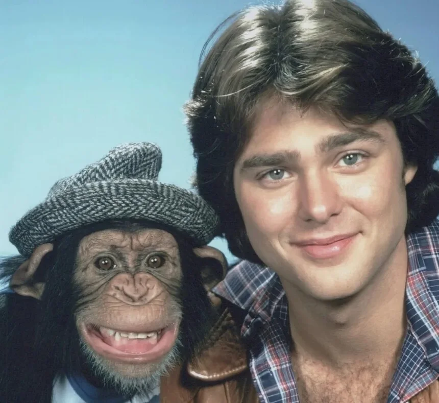 Greg Evigan — GREG EVIGAN - 'Billy Joe McKay' on "B.J. and The Bear" - Signed 8x10 Photo W/COA, image 3