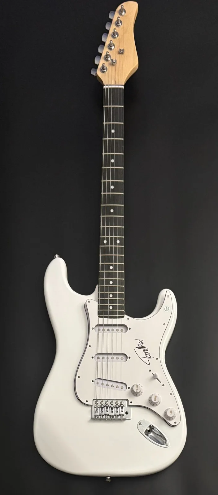 GFA Animals as Leaders * TOSIN ABASI * Signed Electric Guitar PROOF COA, изображение 4