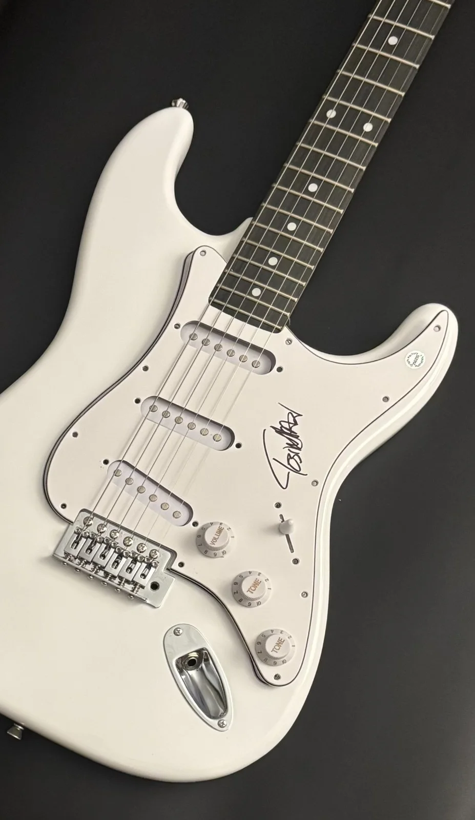 GFA Animals as Leaders * TOSIN ABASI * Signed Electric Guitar PROOF COA, изображение 5