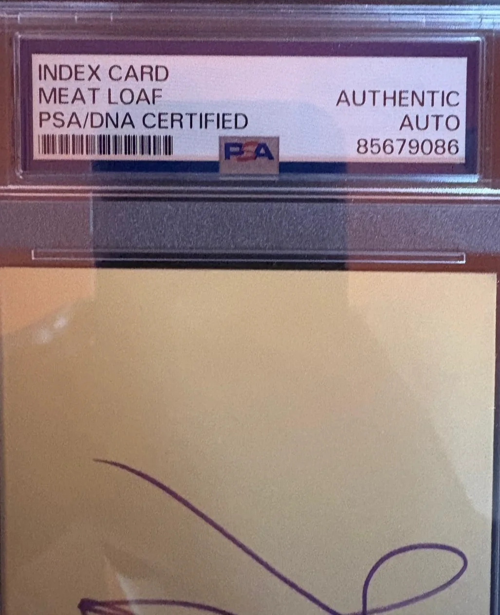 Meat Loaf — MEAT LOAF SIGNED INDEX CARD ENCAPSULATED PSA BAT OUT OF HELL BACK INTO HELL A, image 2