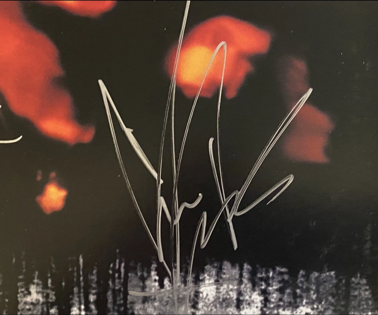 Soundgarden signed Album Superunknown LP Chris Cornell group auto First Press, image 3