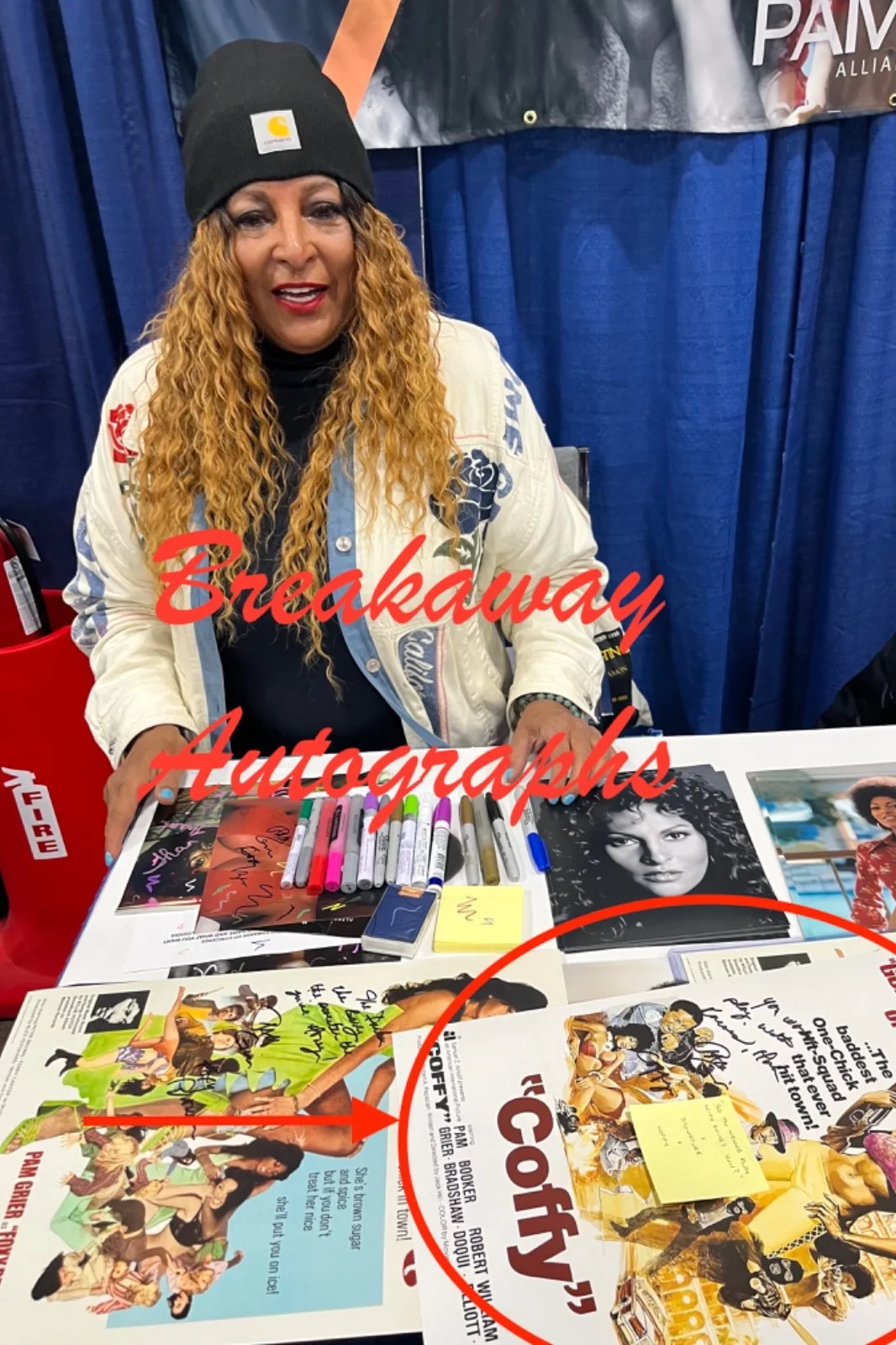 Pam Grier — Pam Grier signed photo 12X18 exact proof JSA COA autographed Coffy, image 5