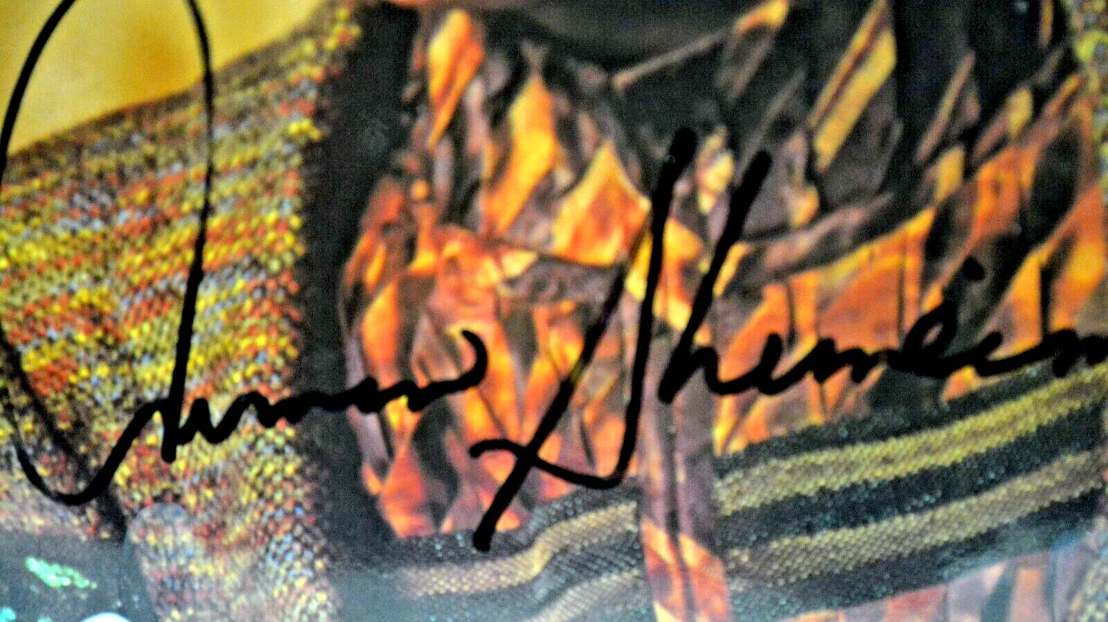 Armin Shimerman — Quark Autographed Star Trek Deep Space Nine Oversize Color Photo Postcard 8 x 10, image 2