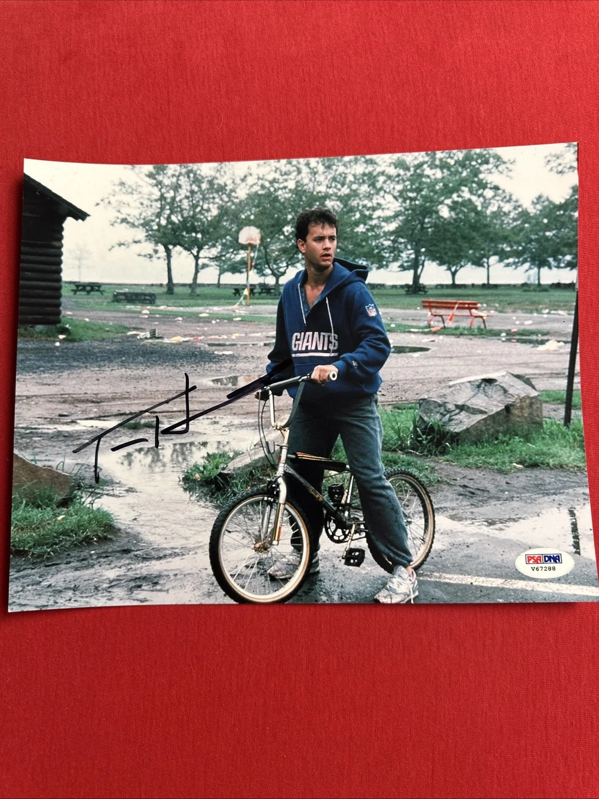 Tom Hanks — Tom Hanks Big 8 X 10 Autograph PSA Authentic, image 5