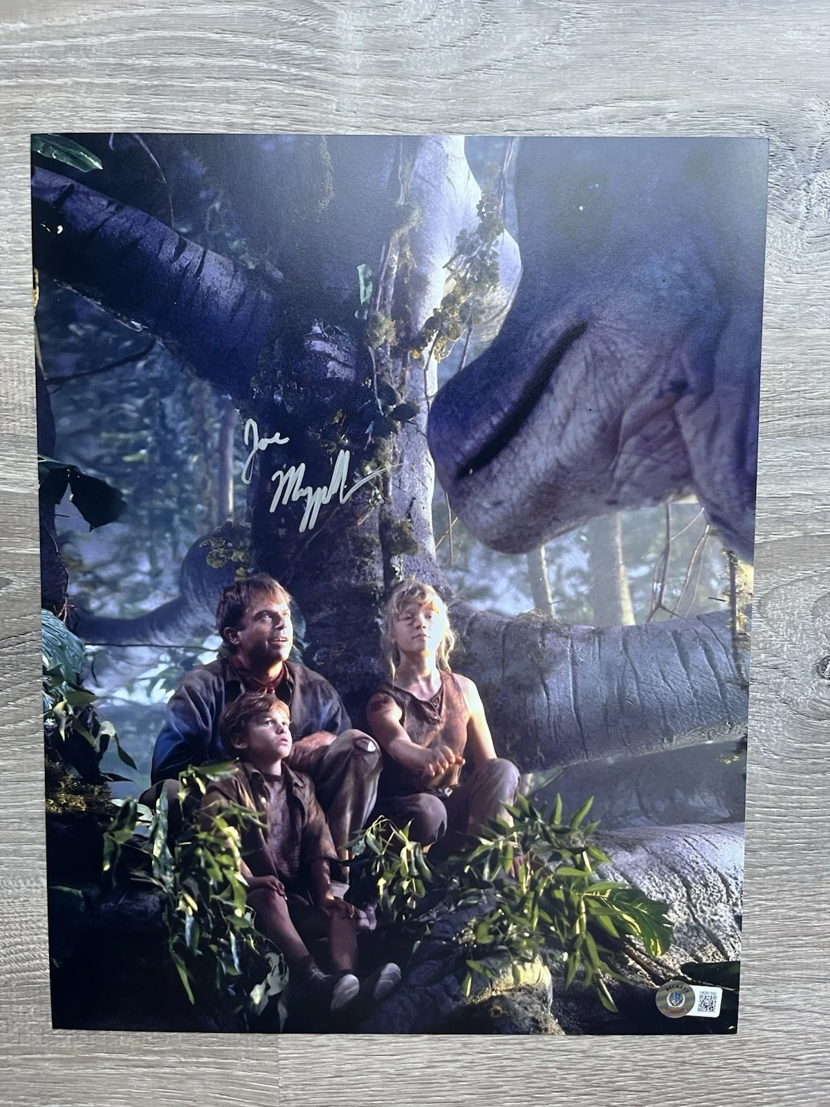 Joseph Mazzello — Joseph Mazzello Signed Jurassic Park 11x14 Photo Beckett COA Tim Murphy, изображение 2