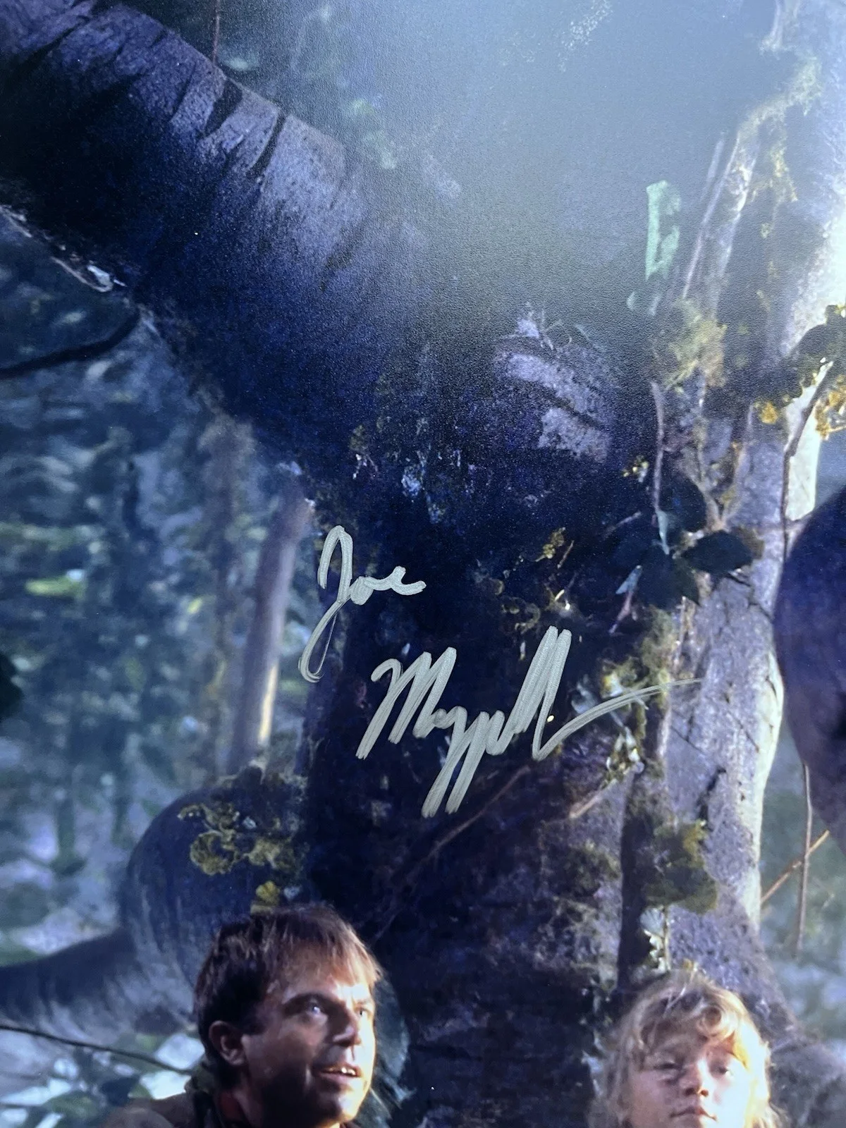 Joseph Mazzello — Joseph Mazzello Signed Jurassic Park 11x14 Photo Beckett COA Tim Murphy, изображение 4