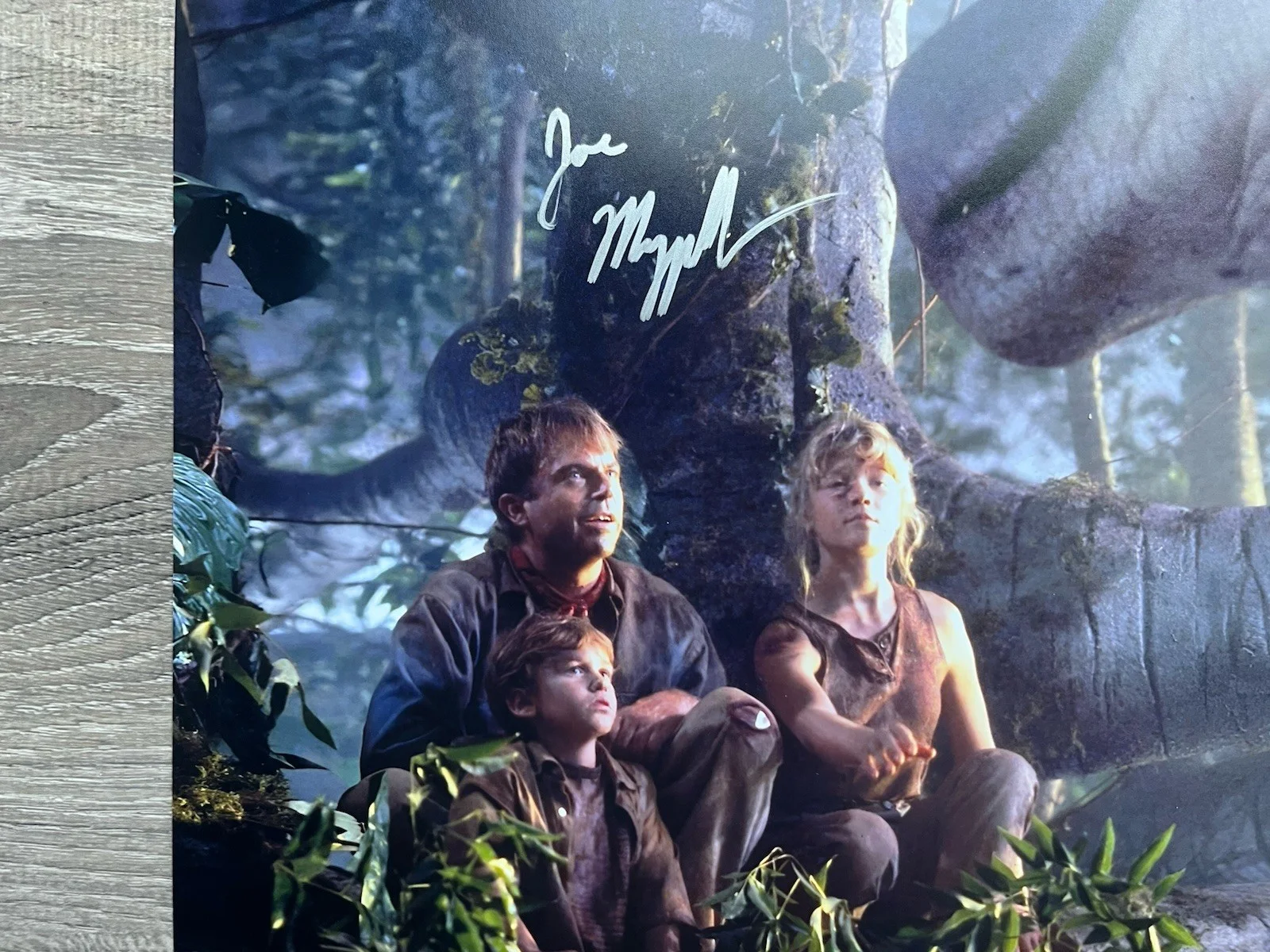 Joseph Mazzello — Joseph Mazzello Signed Jurassic Park 11x14 Photo Beckett COA Tim Murphy, изображение 5