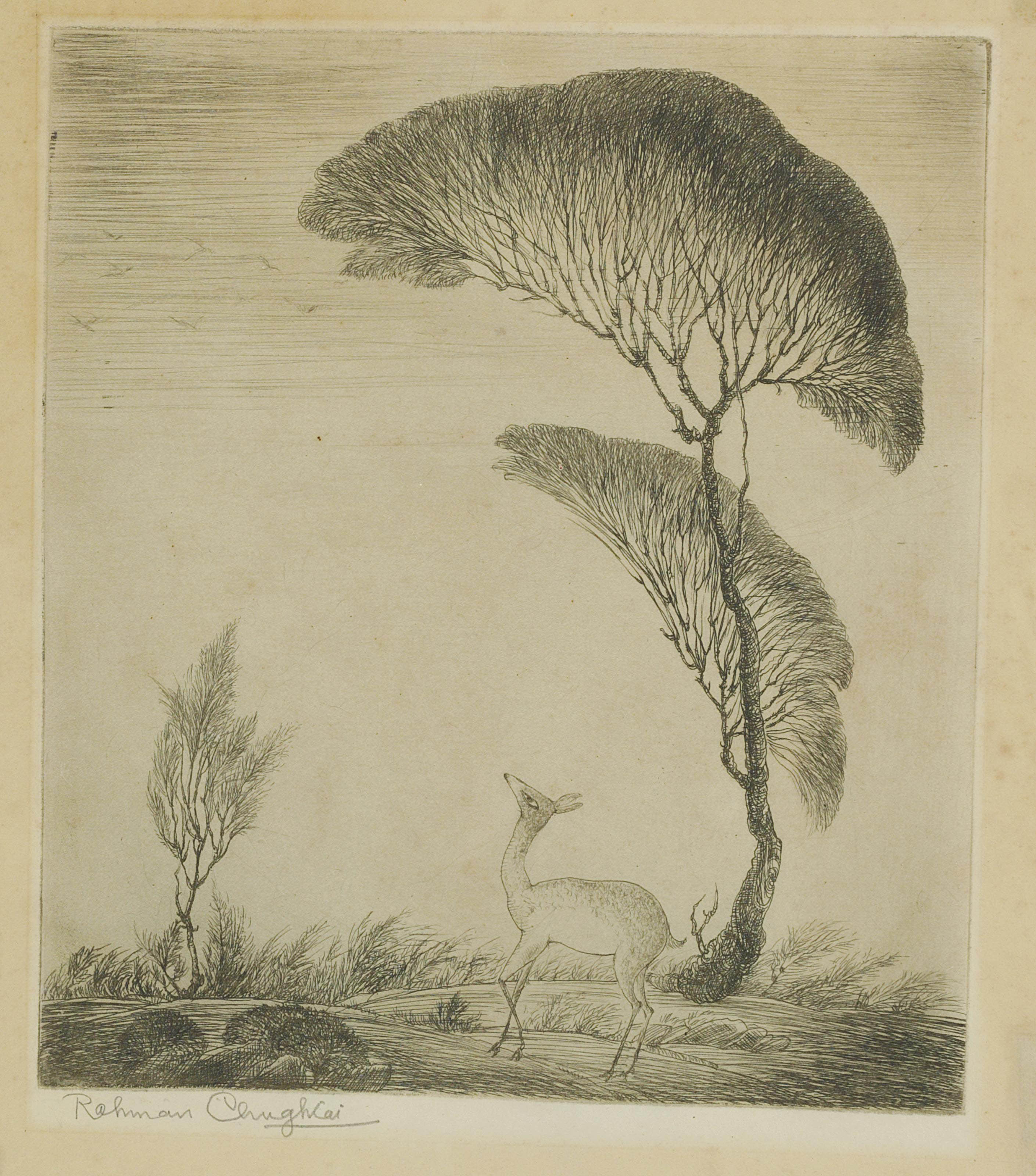 Abdur Rahman Chughtai — Без названия (Олень под деревом)