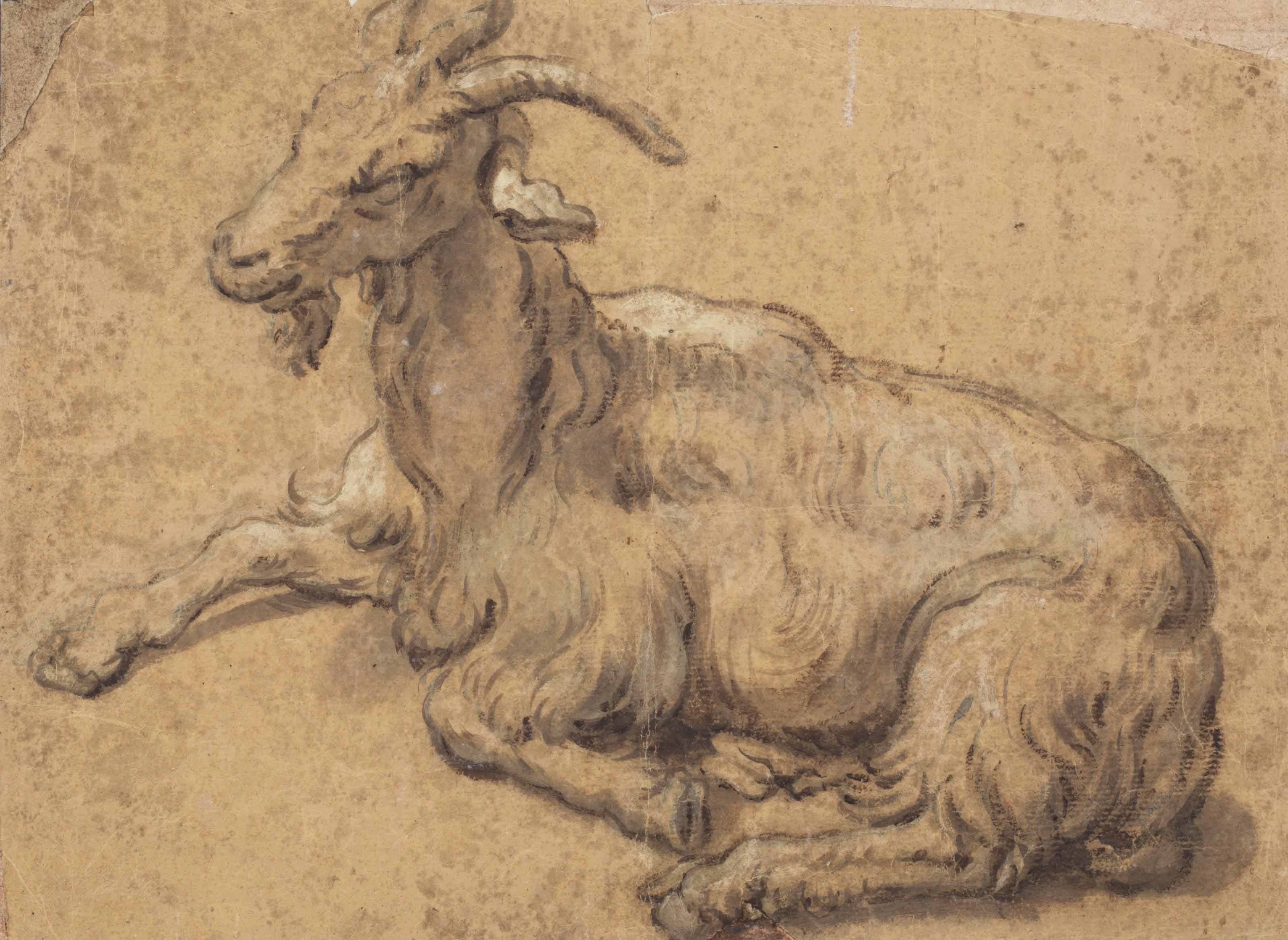 Abraham Bloemaert — Лежащий козел