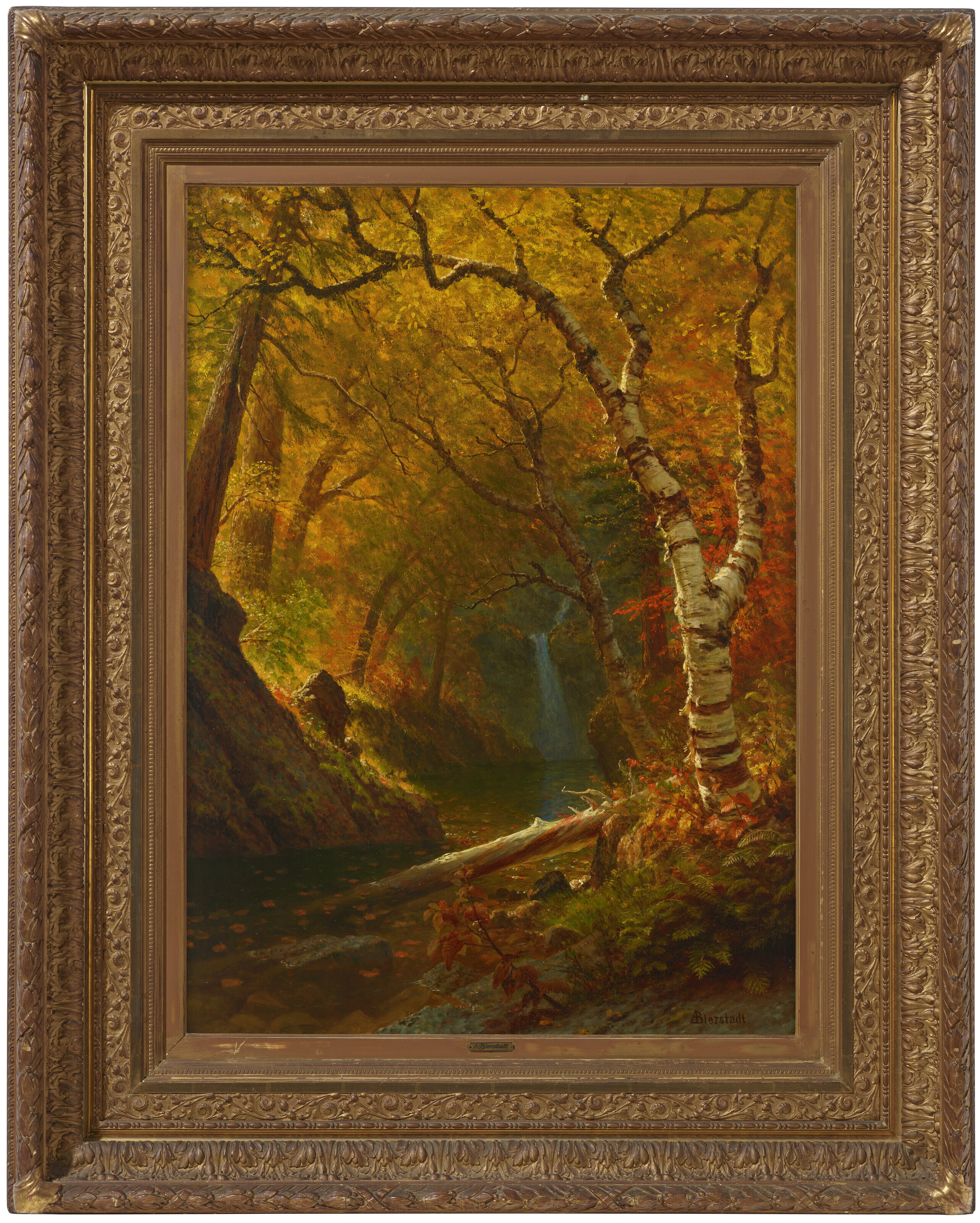 Albert Bierstadt — Лесной бассейн, изображение 2