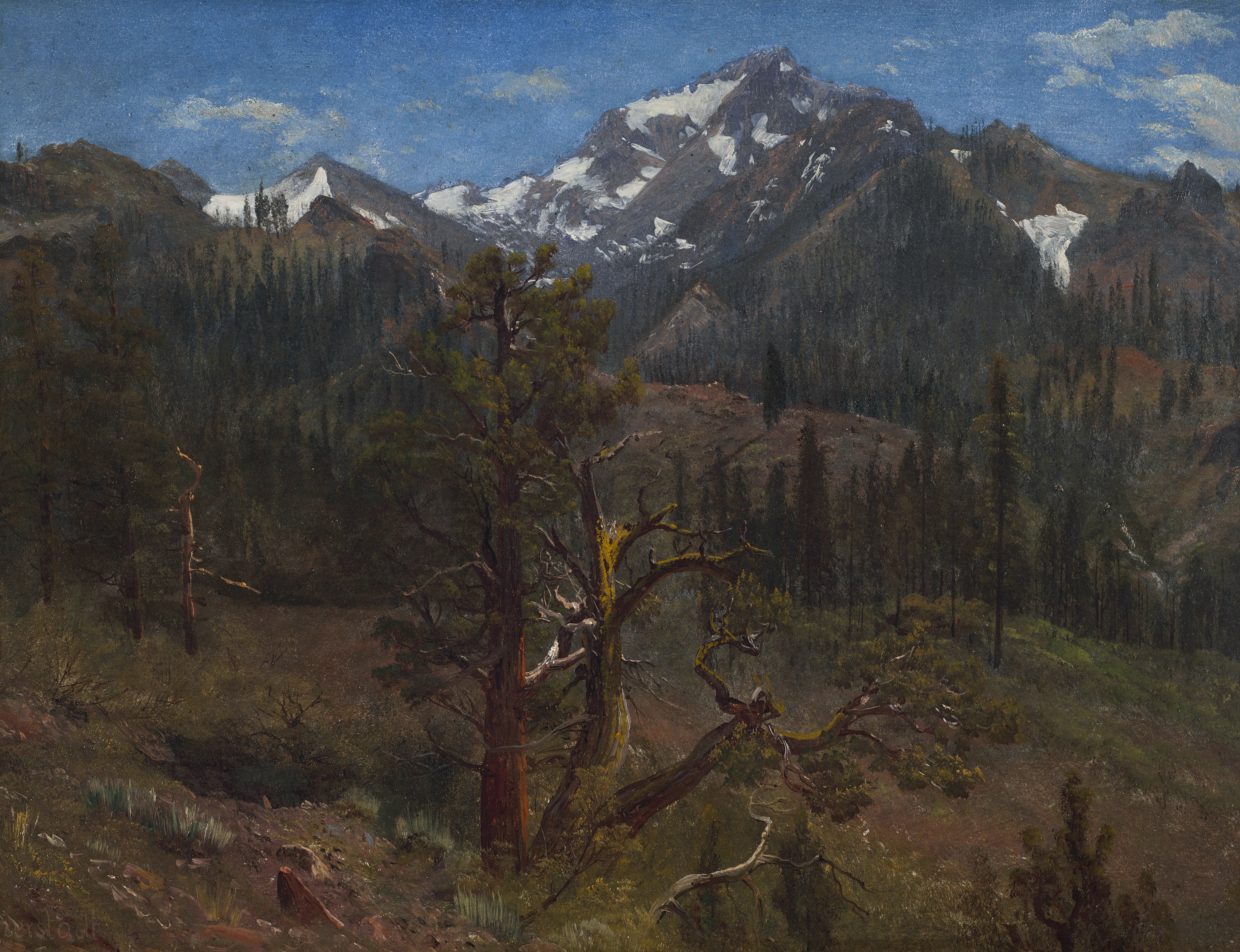 Albert Bierstadt — Вид недалеко от Силвер-Сити, Сьерра-Невада, Калифорния