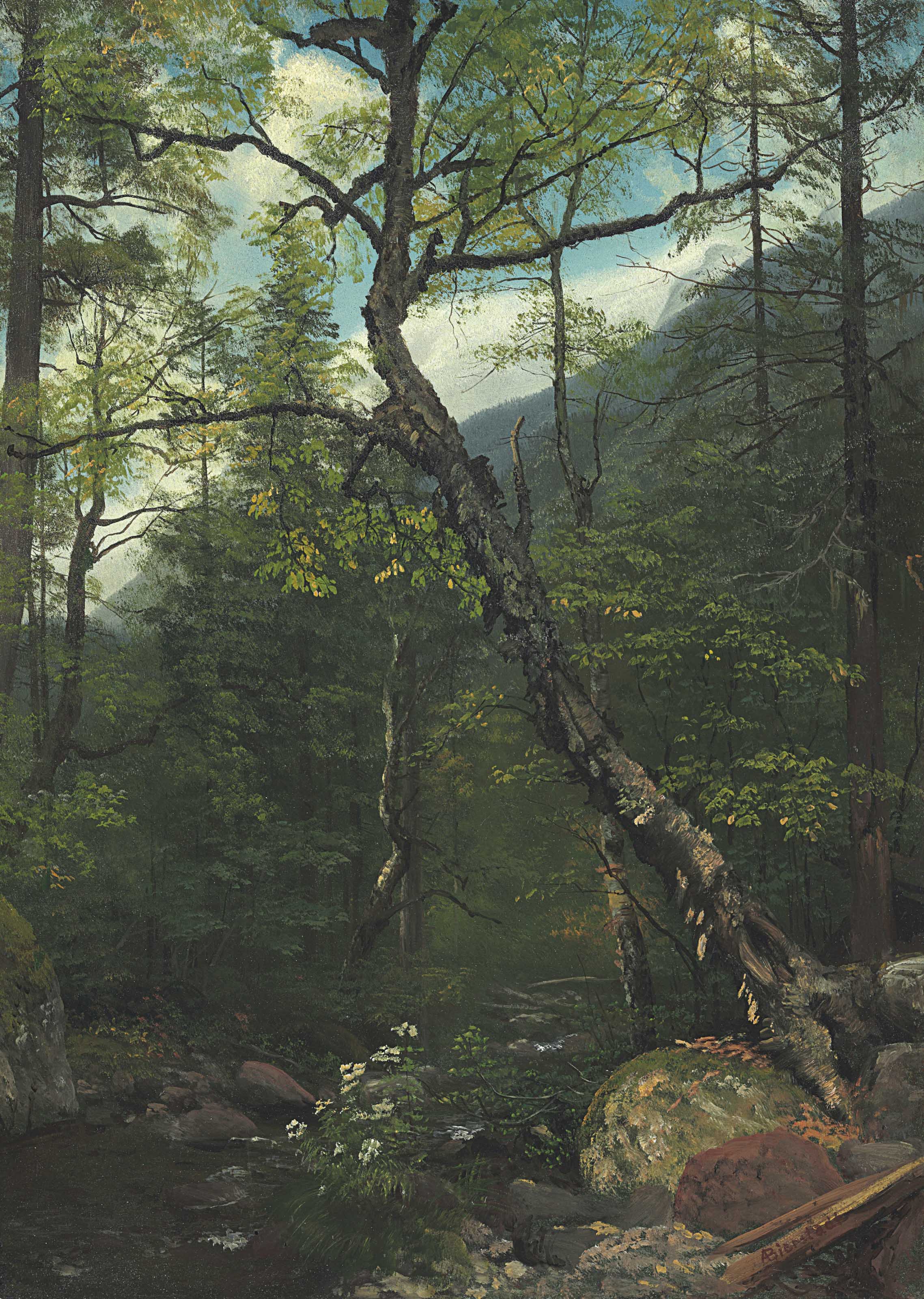 Albert Bierstadt — Лесной массив в Катскиллских горах