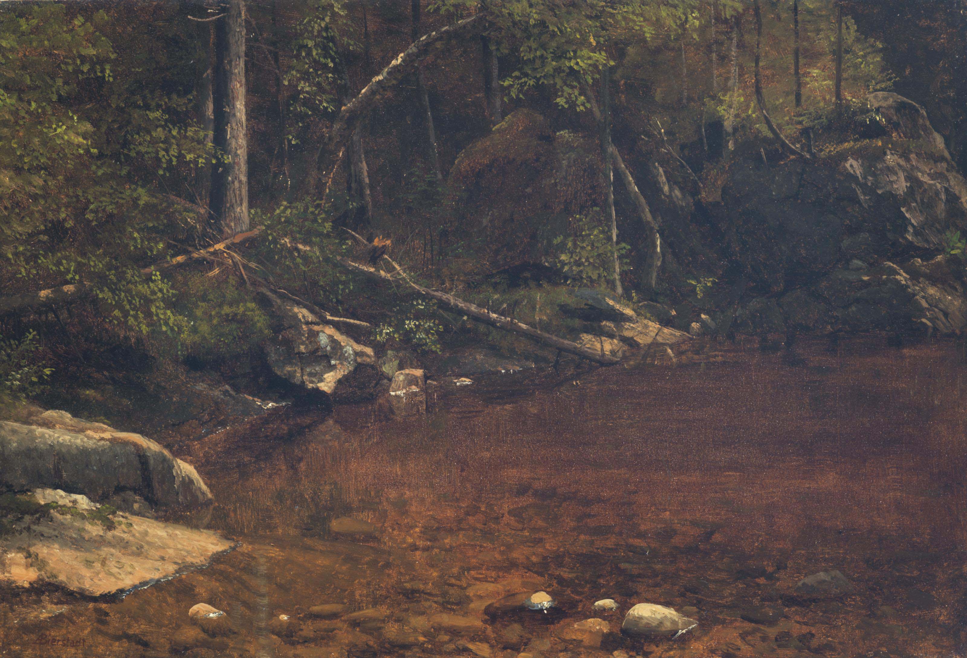 Albert Bierstadt — Лесная поляна