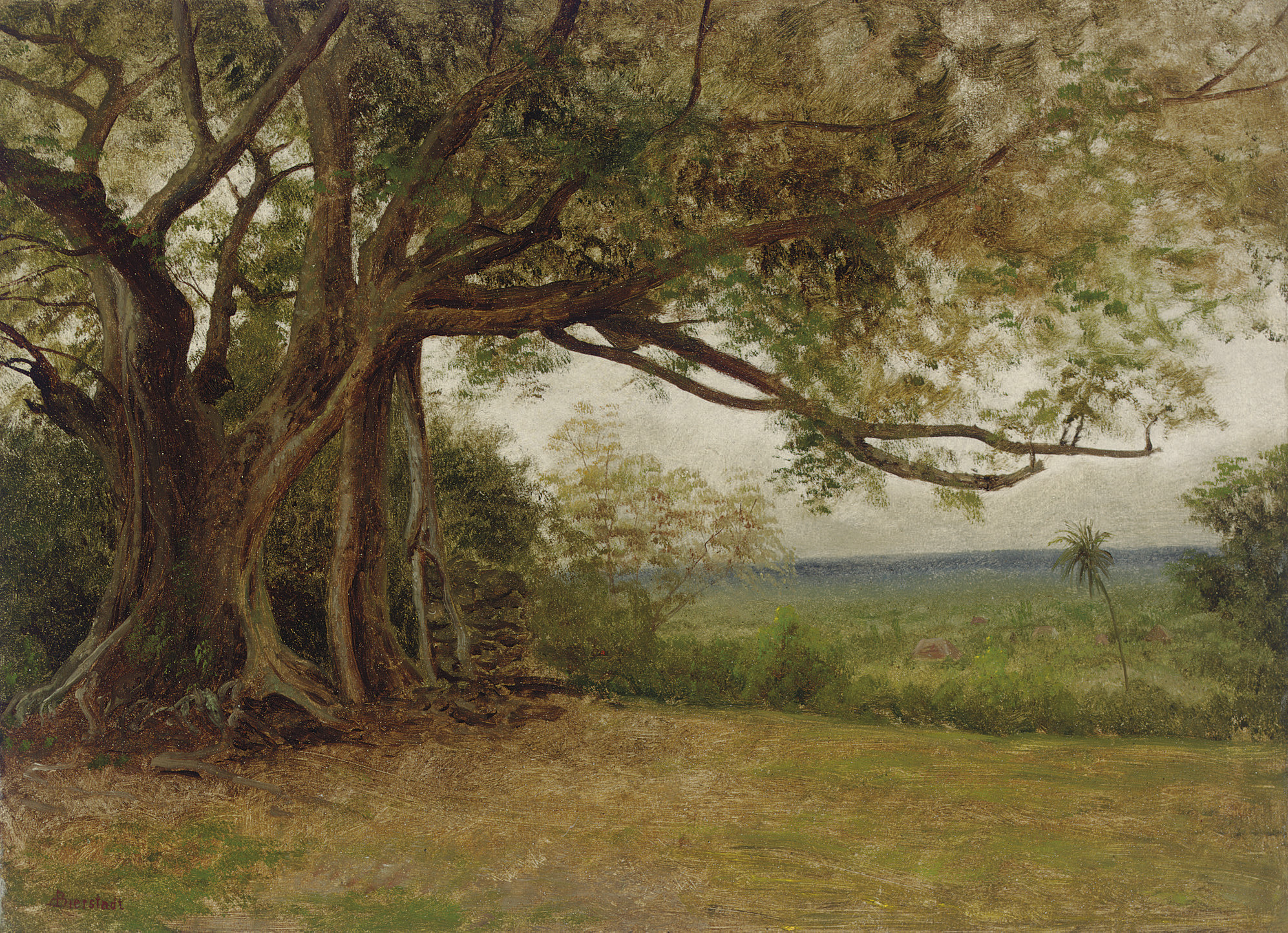 Albert Bierstadt — Этюд к "Высадке Колумба"