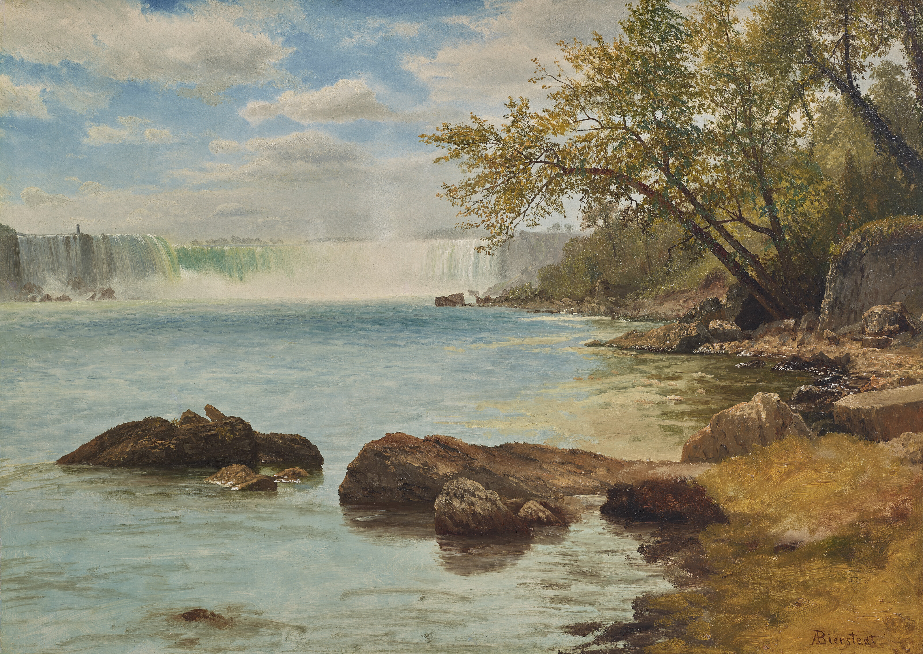 Albert Bierstadt — Ниагарский водопад с башней черепах