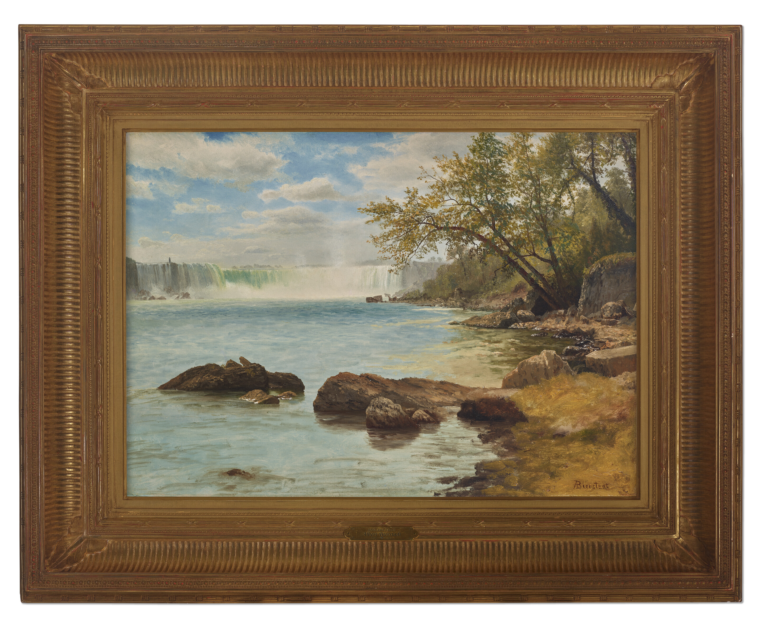 Albert Bierstadt — Ниагарский водопад с башней черепах, изображение 2
