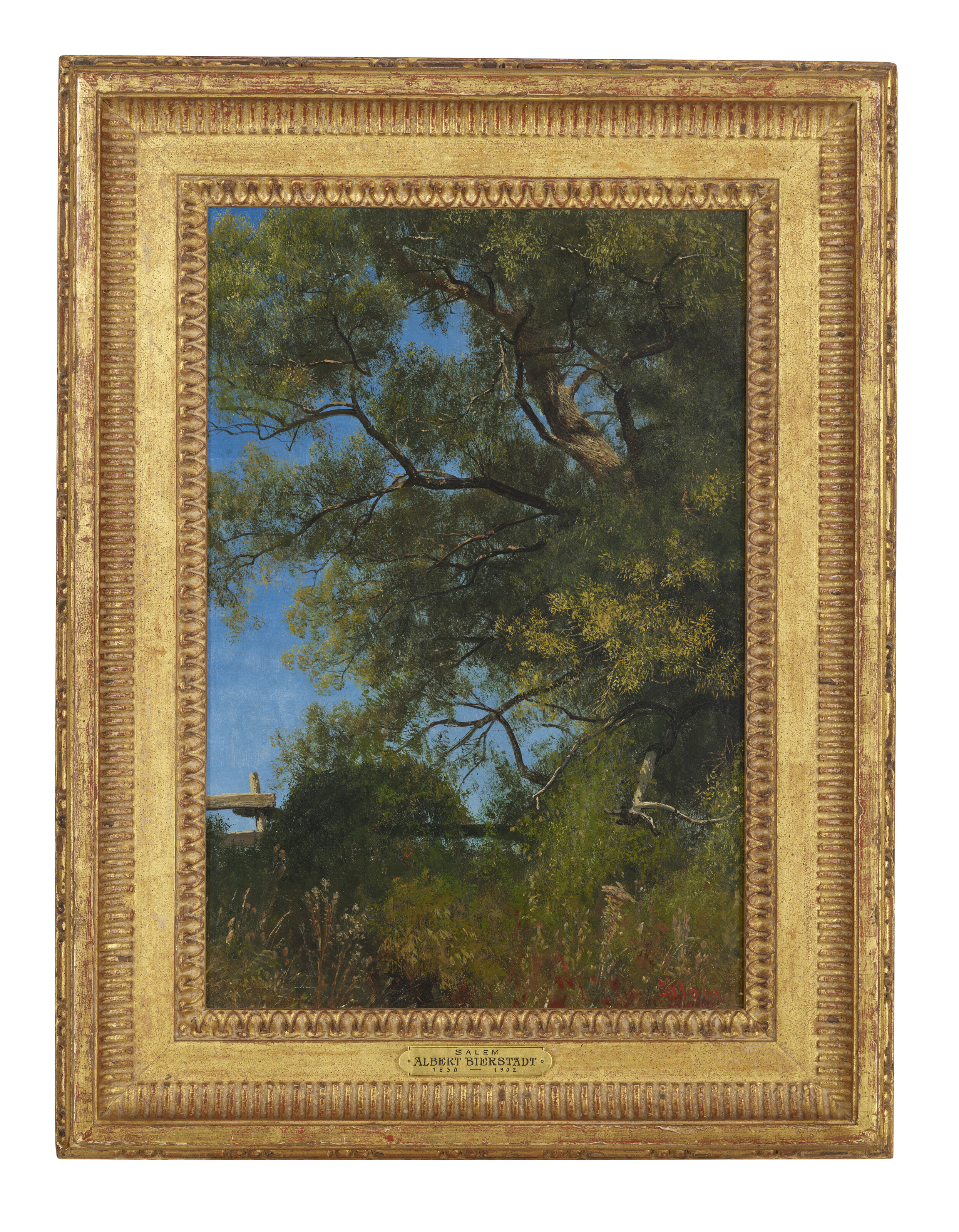 Albert Bierstadt — Салем, штат Орегон, изображение 2
