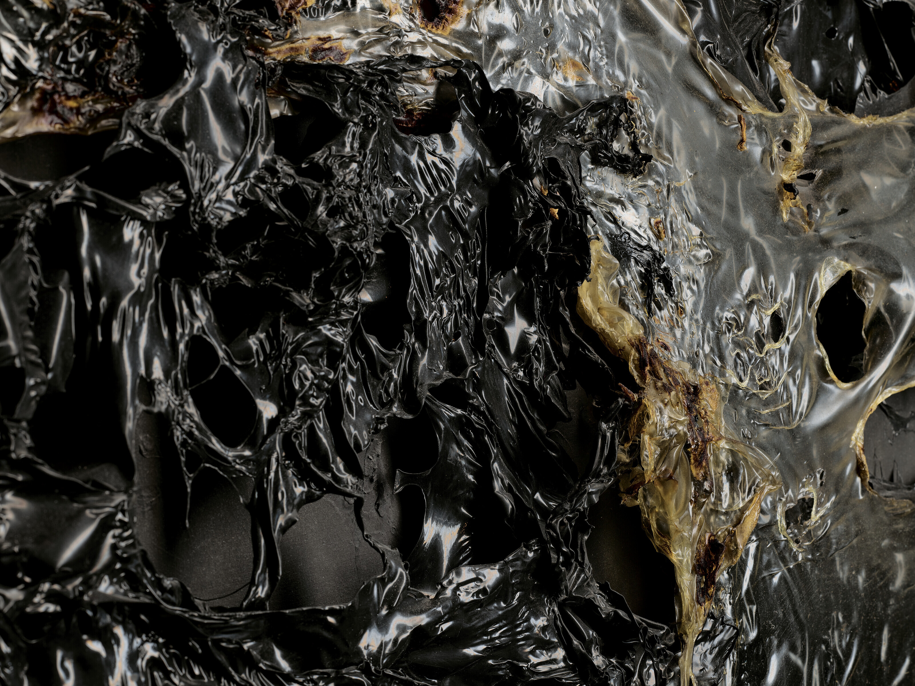 Alberto Burri — Nero Plastica L.A., изображение 4
