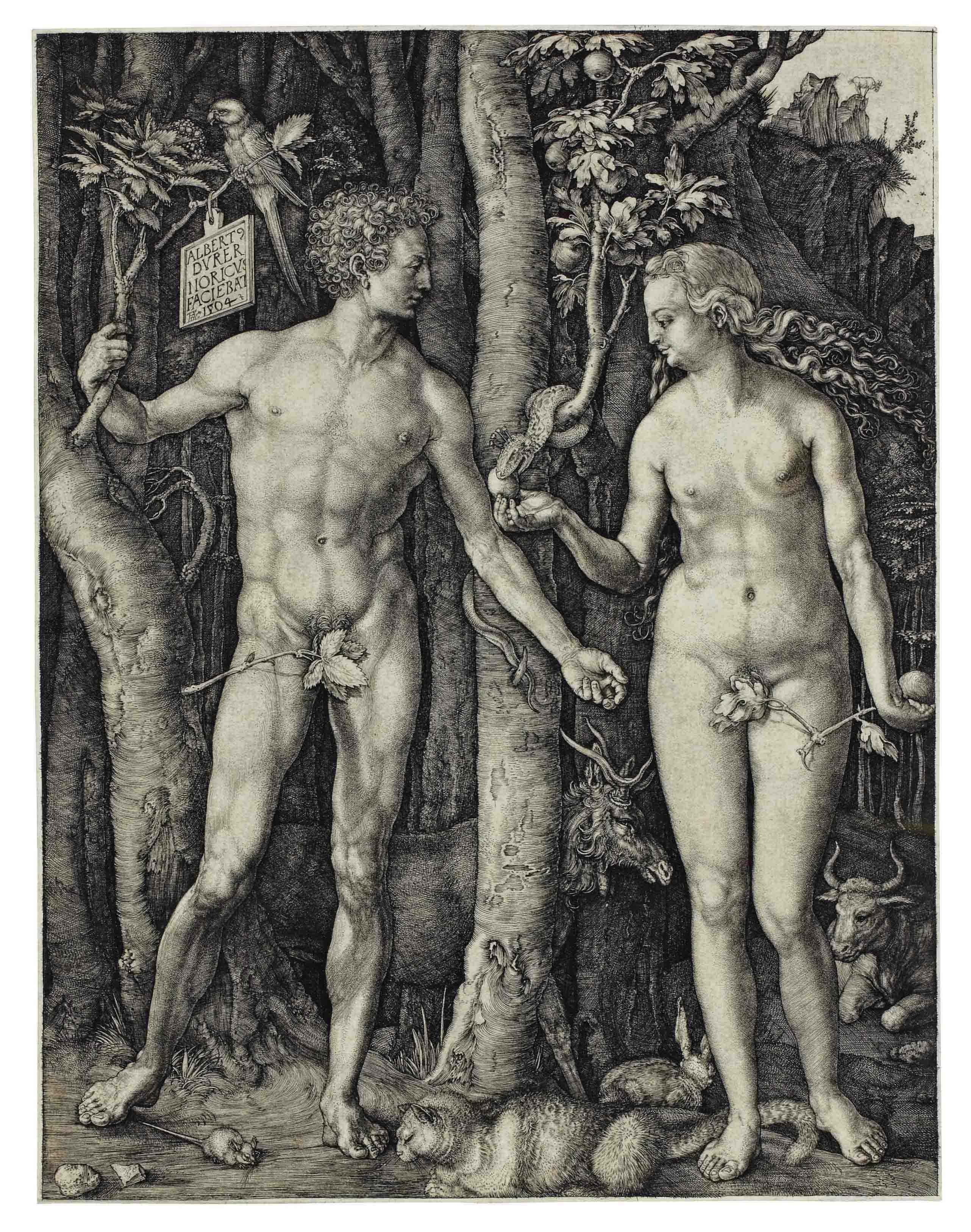 Albrecht Dürer — Адам и Ева (бакалавриат, магистратура, Зал. 1; С.М.С. 39)