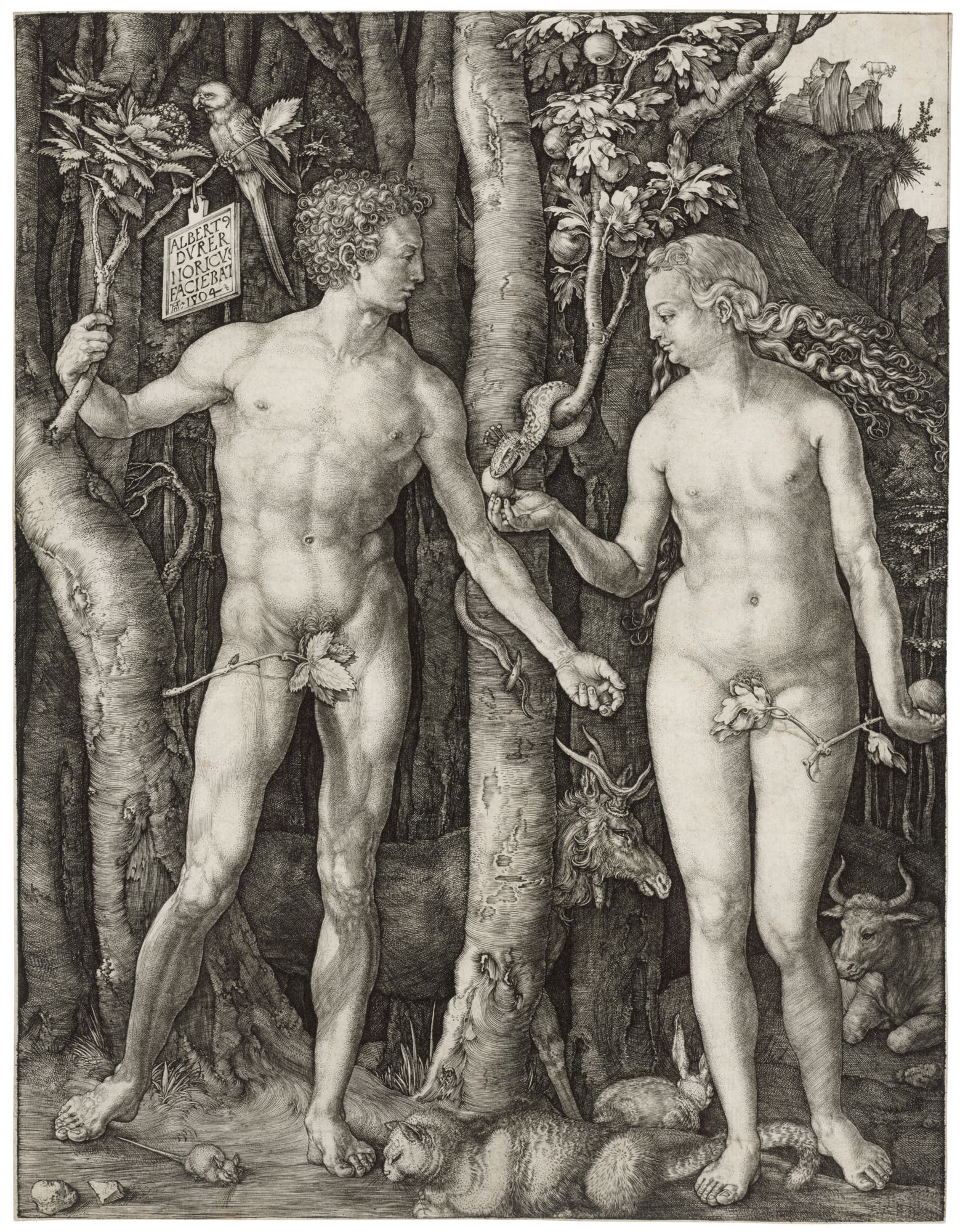 Albrecht Dürer — Адам и Ева