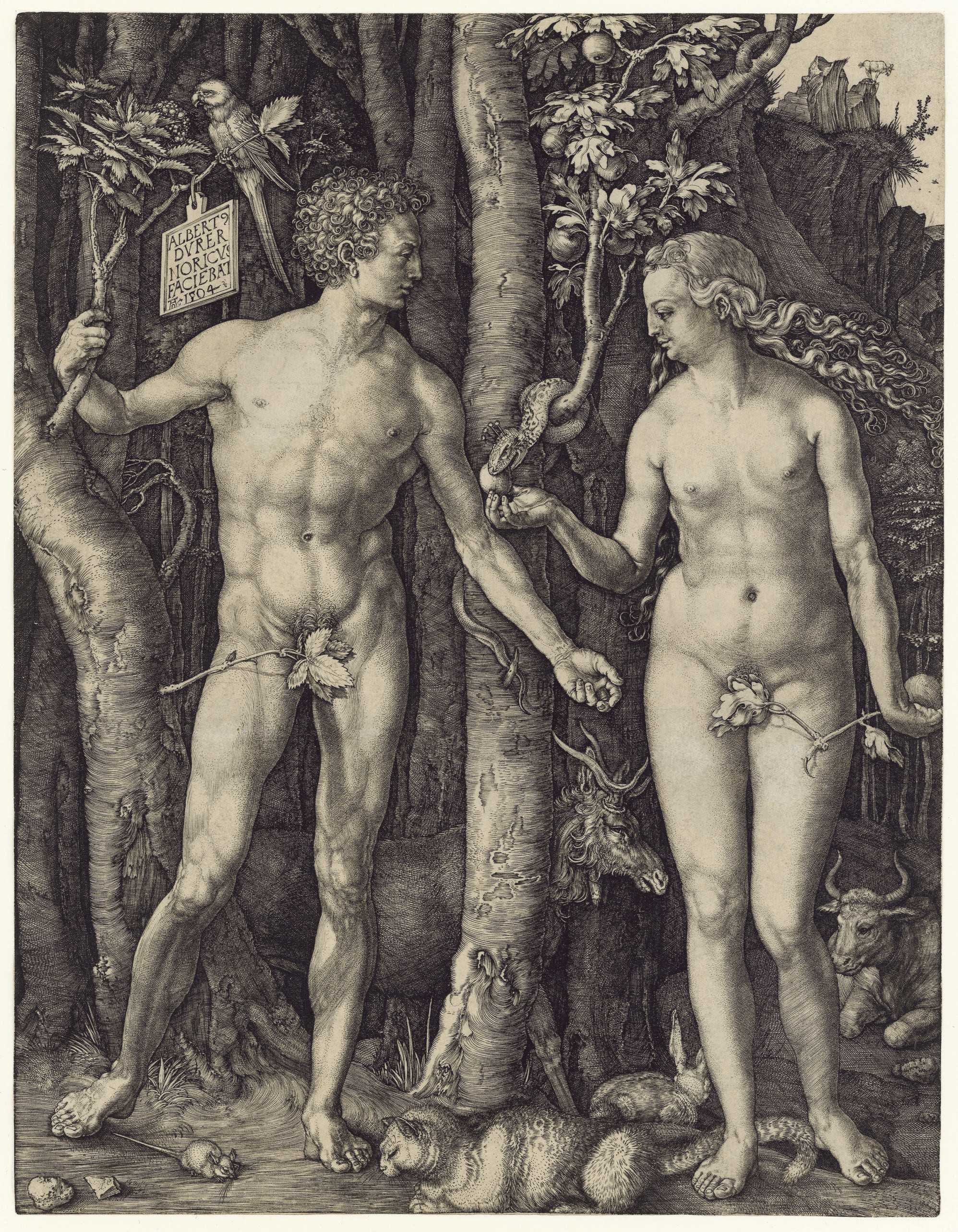 Albrecht Dürer — Адам и Ева (бакалавриат, магистратура, Зал. 1; С.М.С. 39)