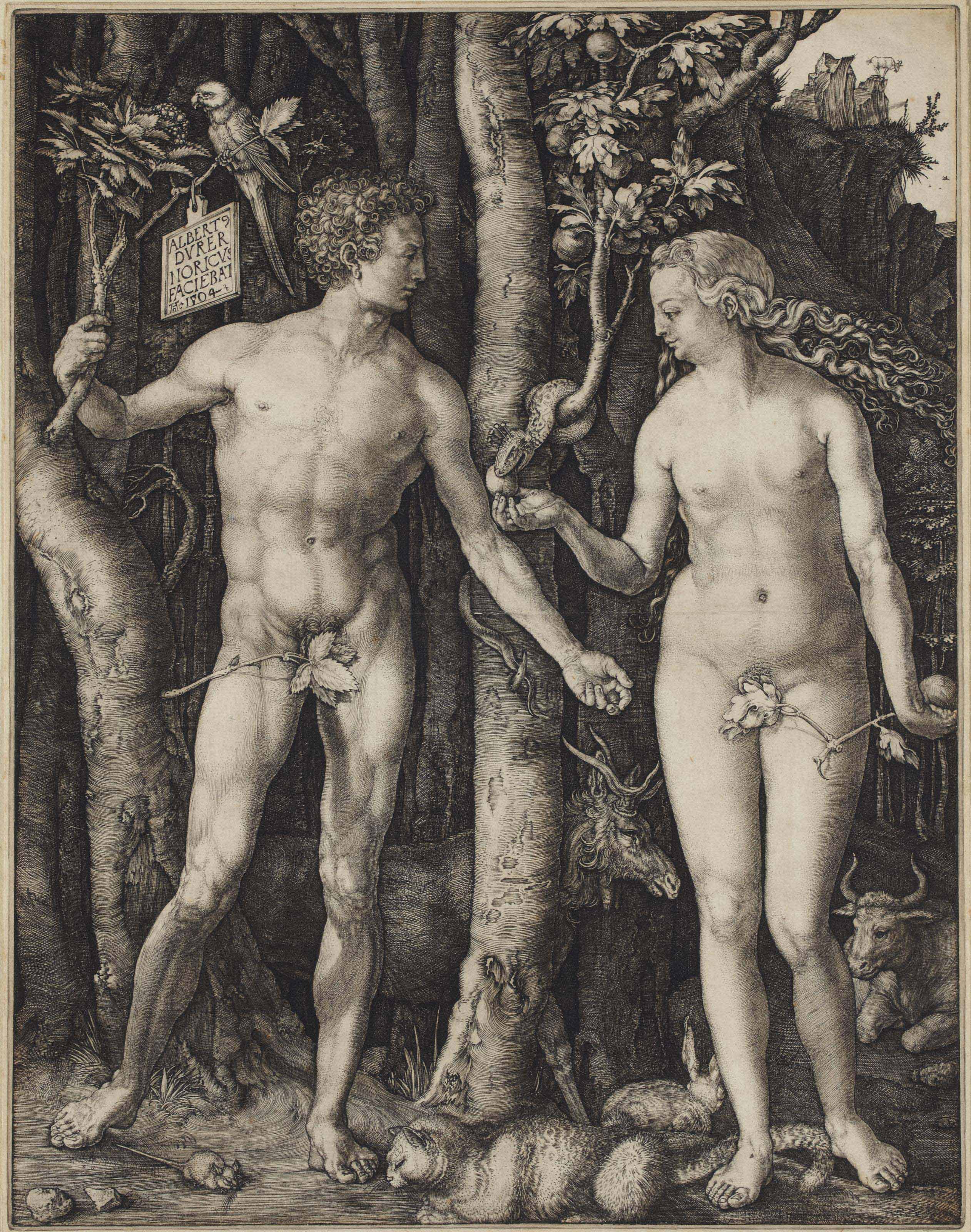 Albrecht Dürer — Адам и Ева (бакалавриат, магистратура, Зал. 1; С.М.С. 39)