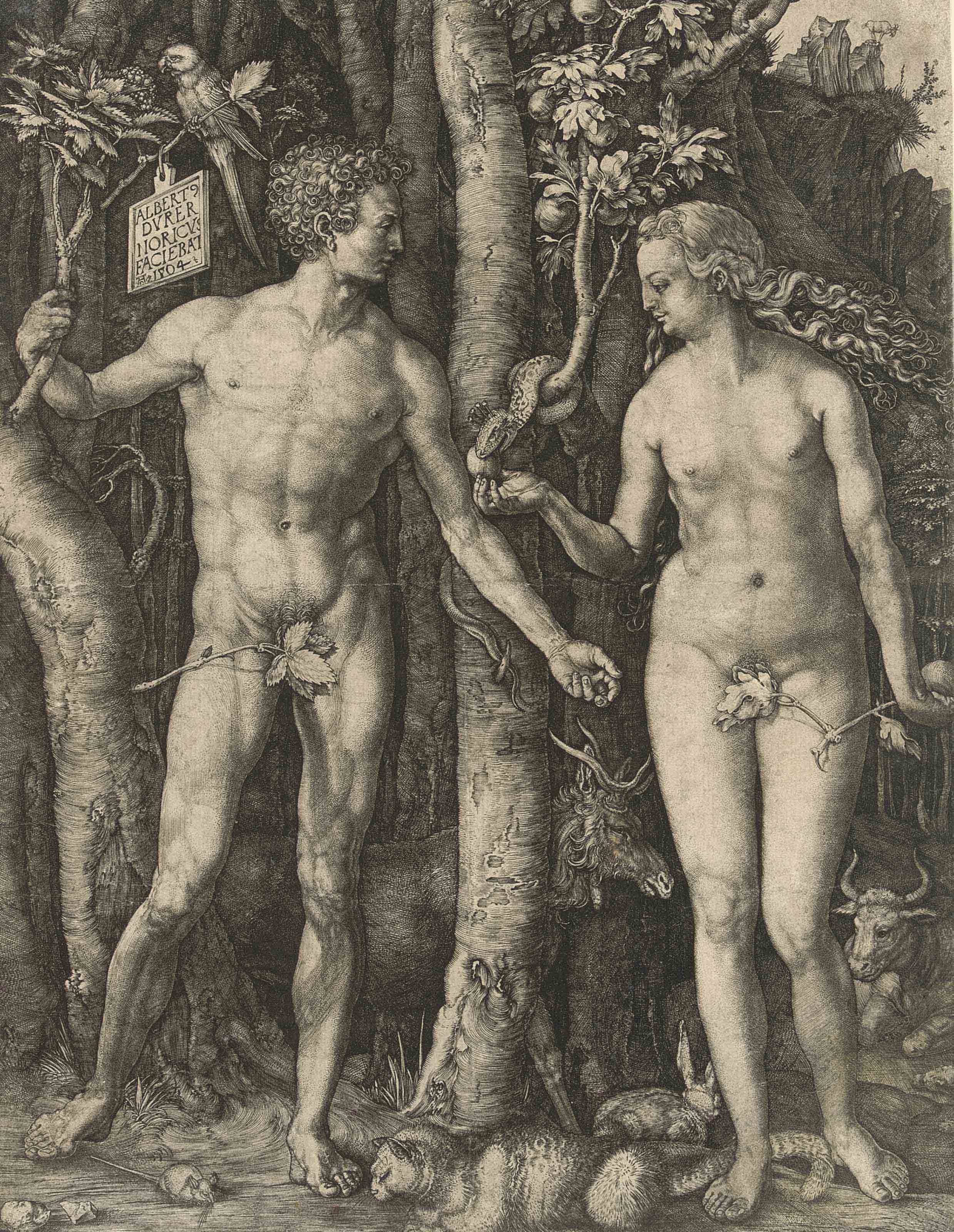 Albrecht Dürer — Адам и Ева (бакалавриат, магистратура, Зал. 1; С.М.С. 39)