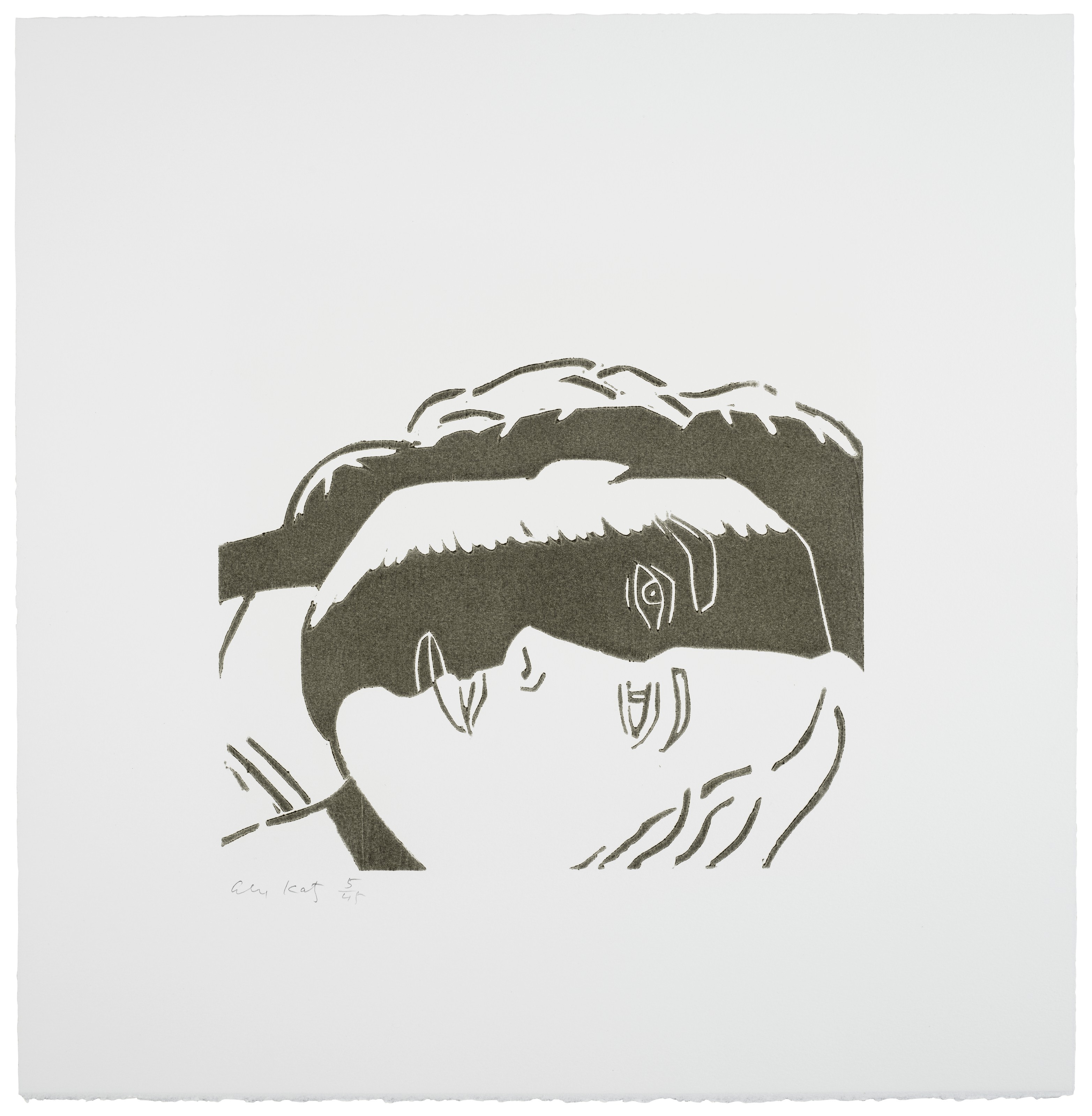 Alex Katz — Дрожь по утрам, изображение 11