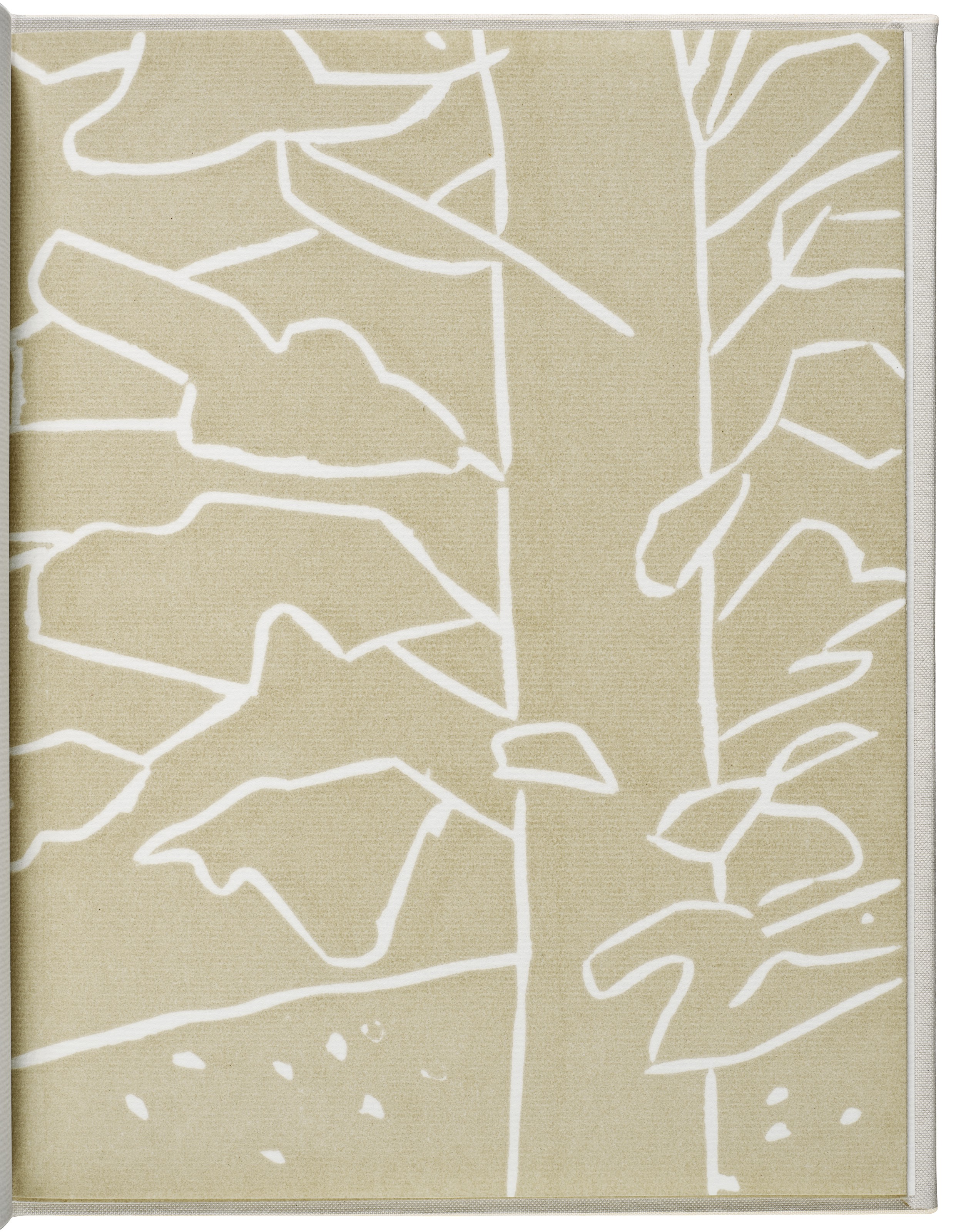 Alex Katz — Дрожь по утрам, изображение 13