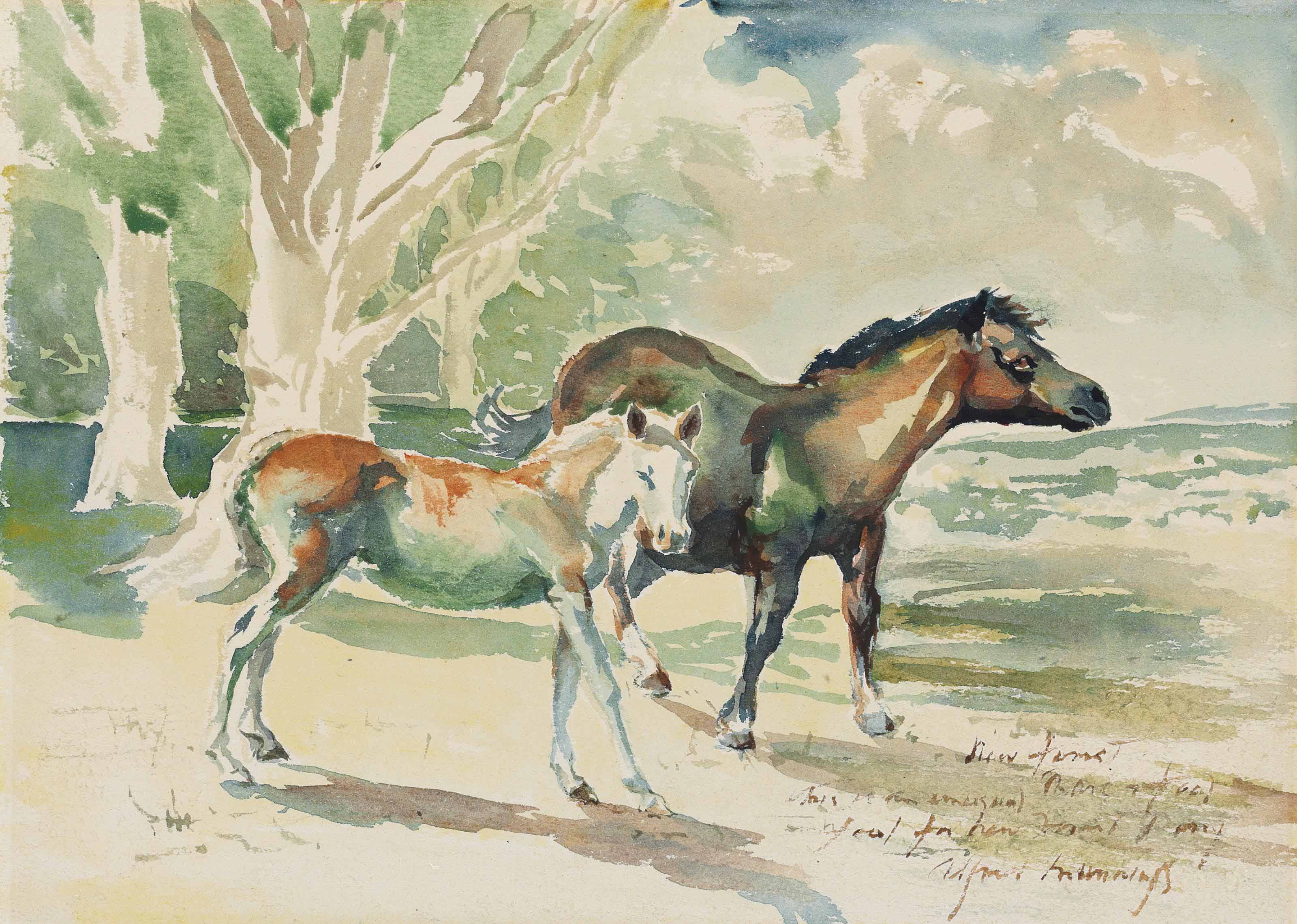 Alfred James Munnings — Кобыла и жеребенок из Нью-Фореста