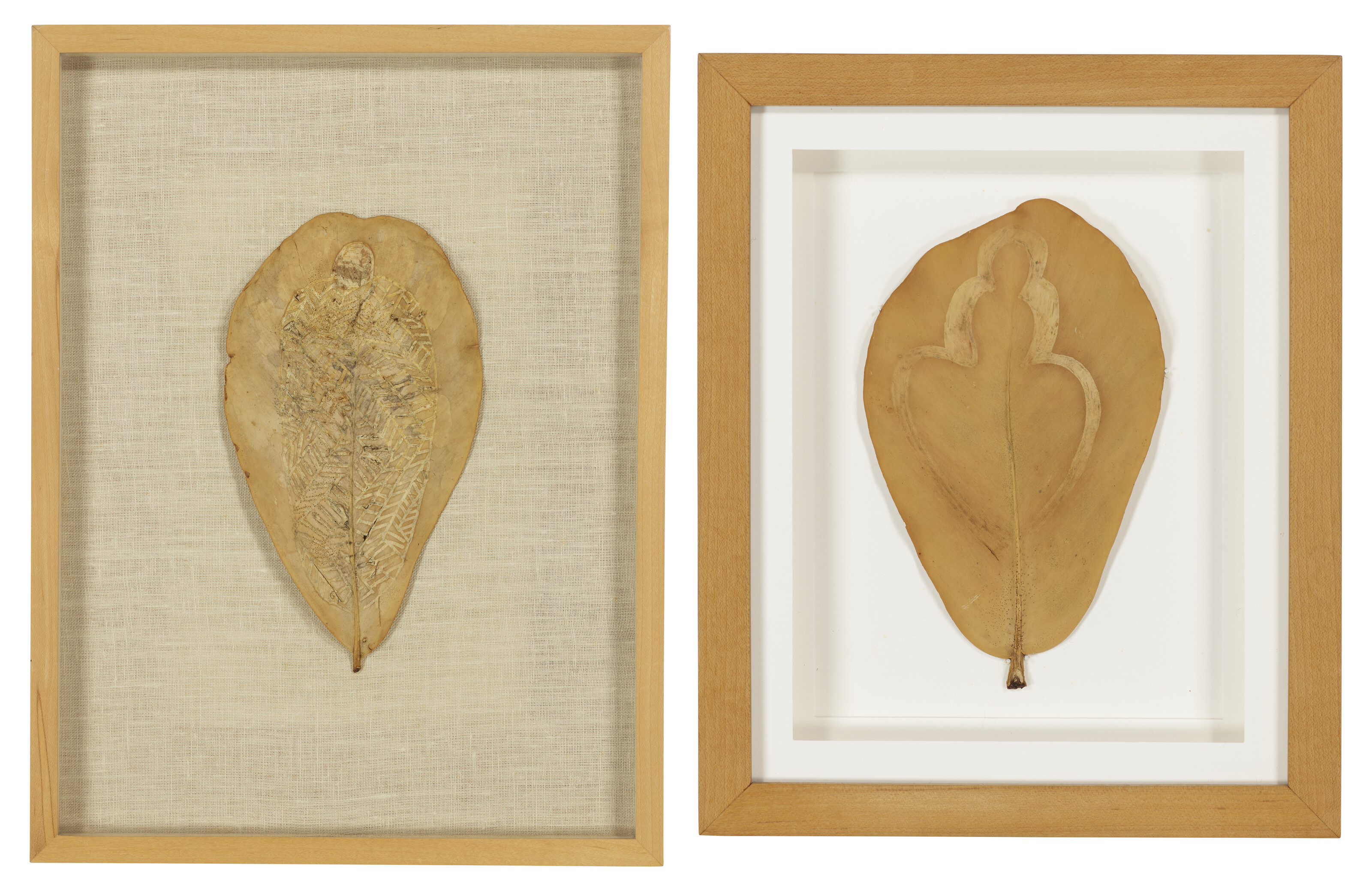 Ana Mendieta — Без названия (Рисунки на листьях) [Две работы]