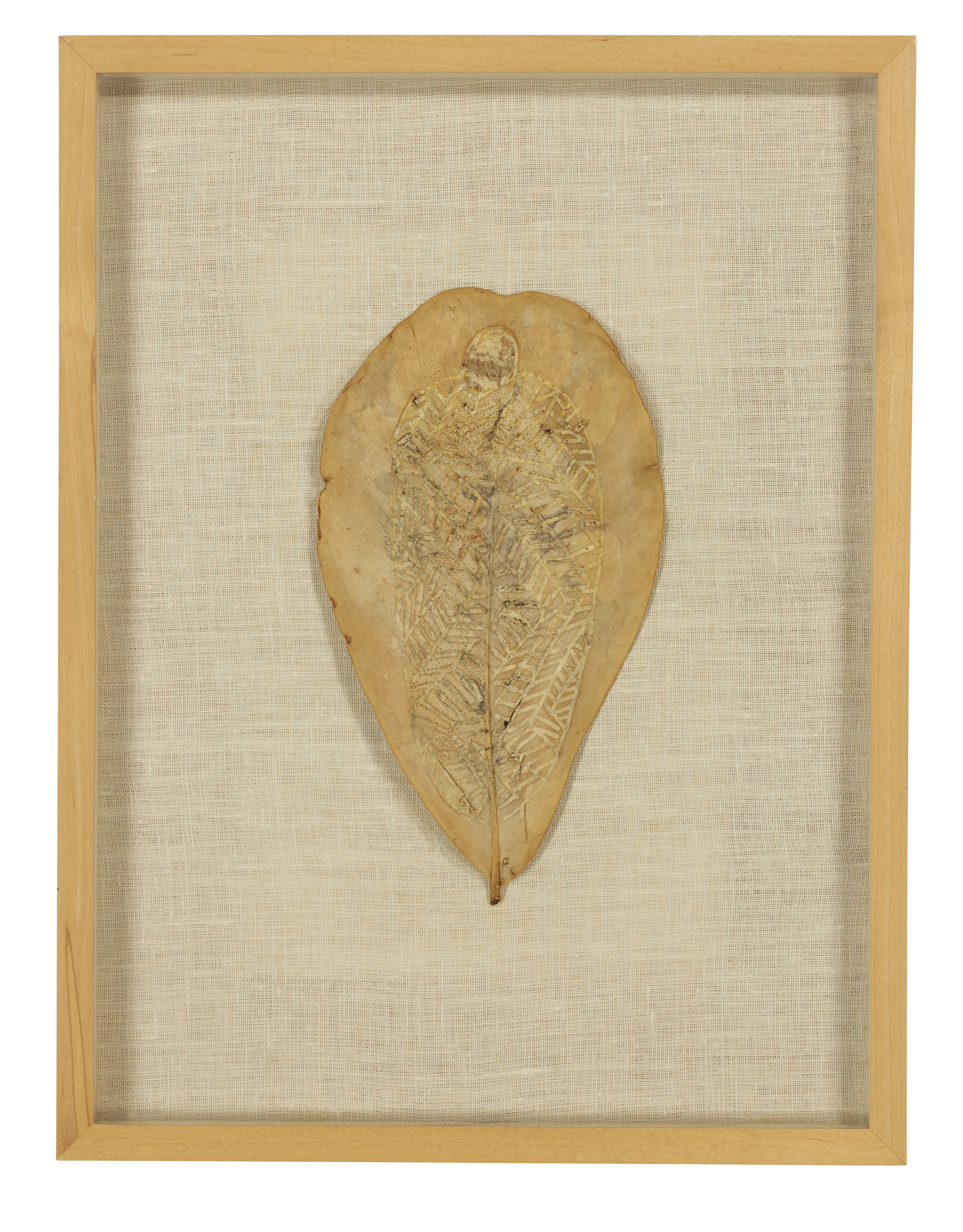 Ana Mendieta — Без названия (Рисунки на листьях) [Две работы], изображение 2