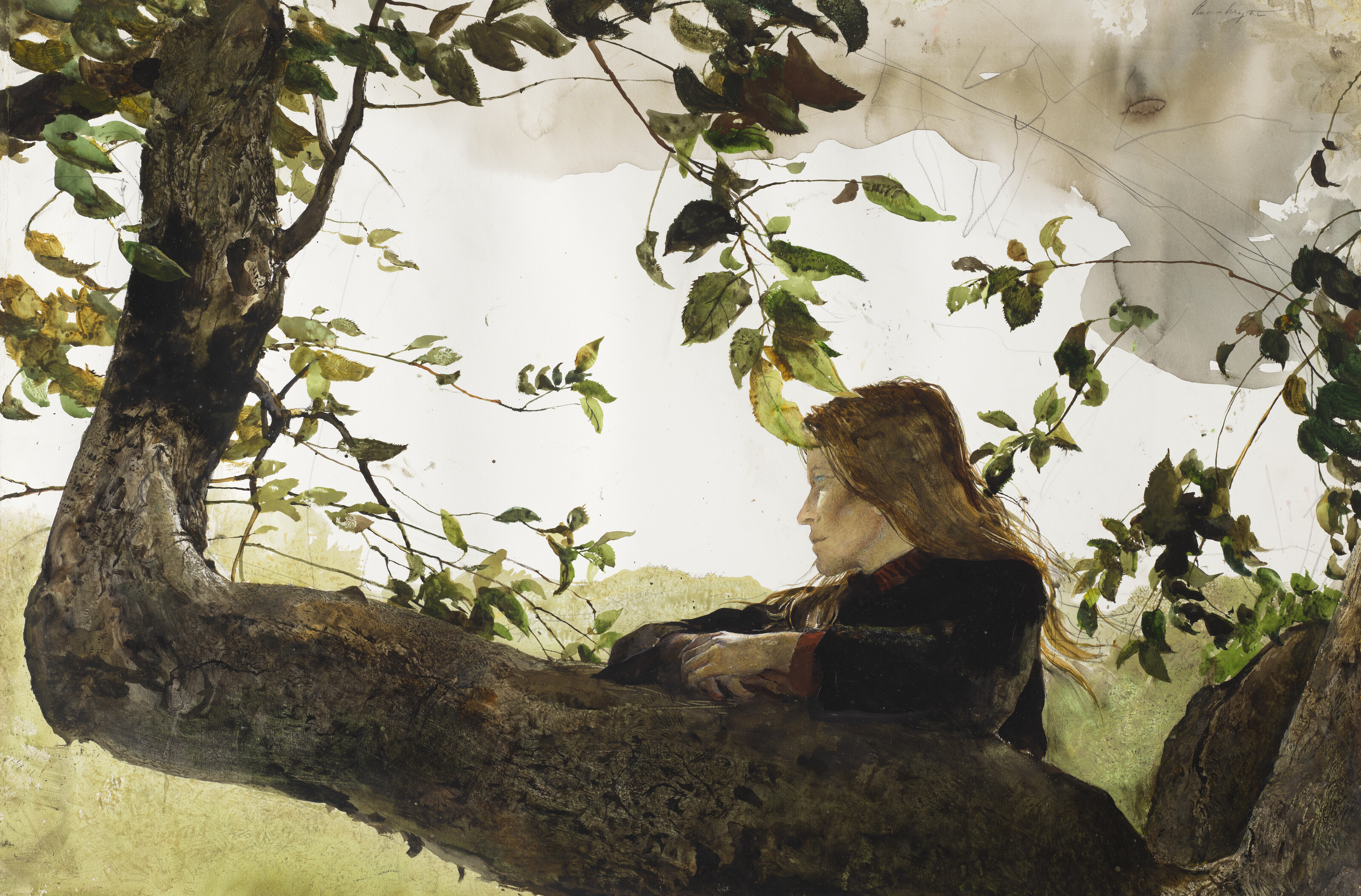 Andrew Wyeth — В саду