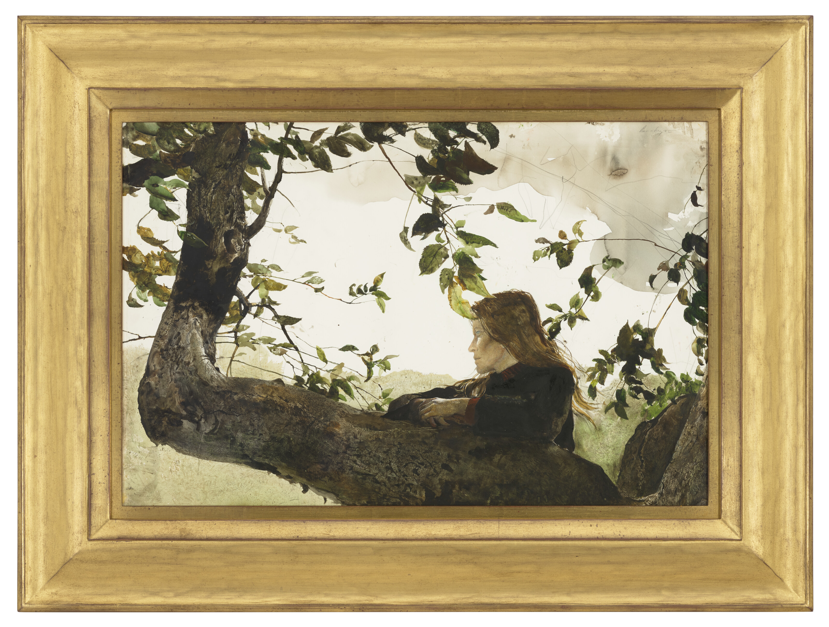 Andrew Wyeth — В саду, изображение 2