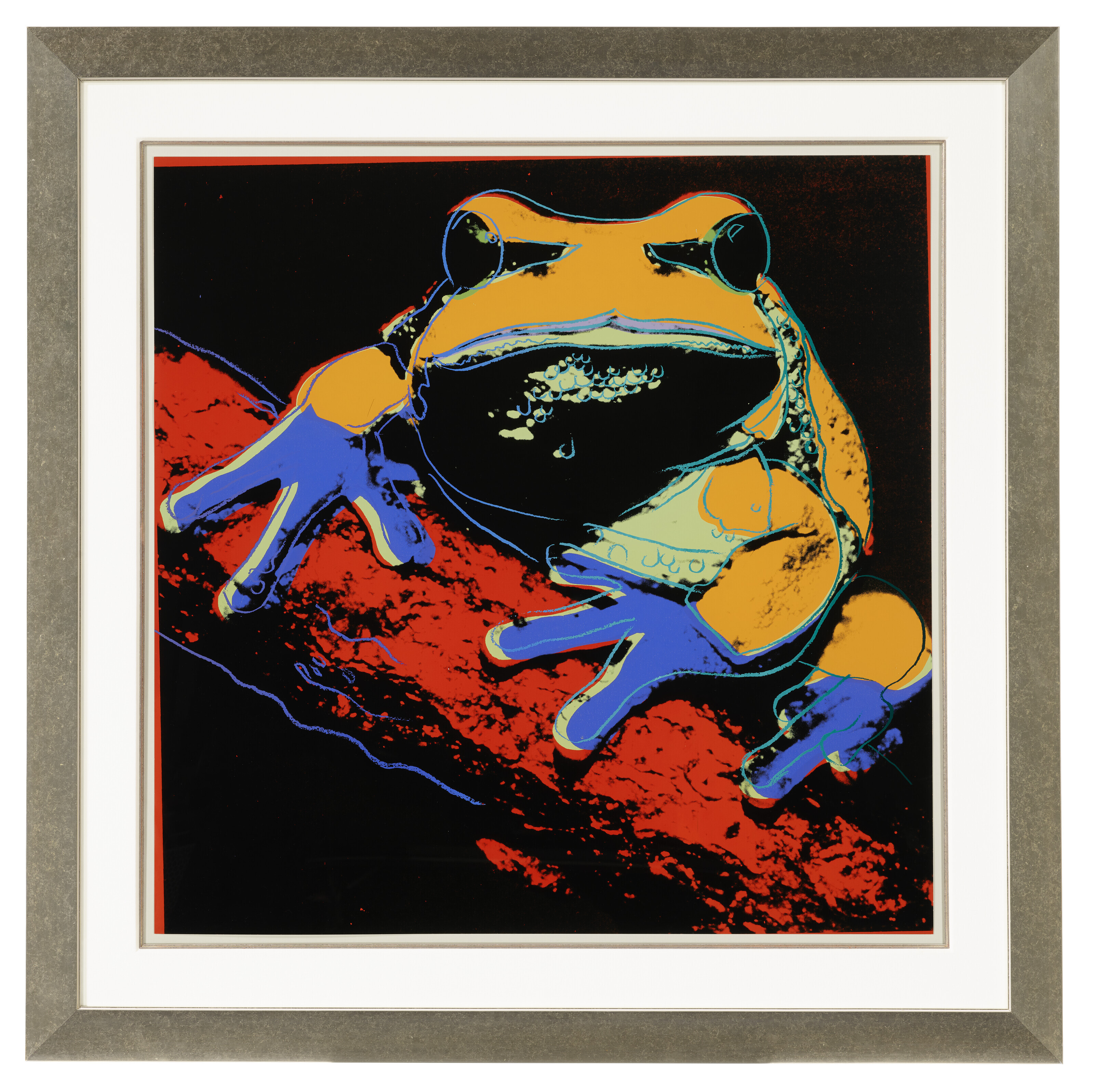 Andy Warhol — Древесная лягушка из сосновых пустошей, относящаяся к исчезающему виду, изображение 2